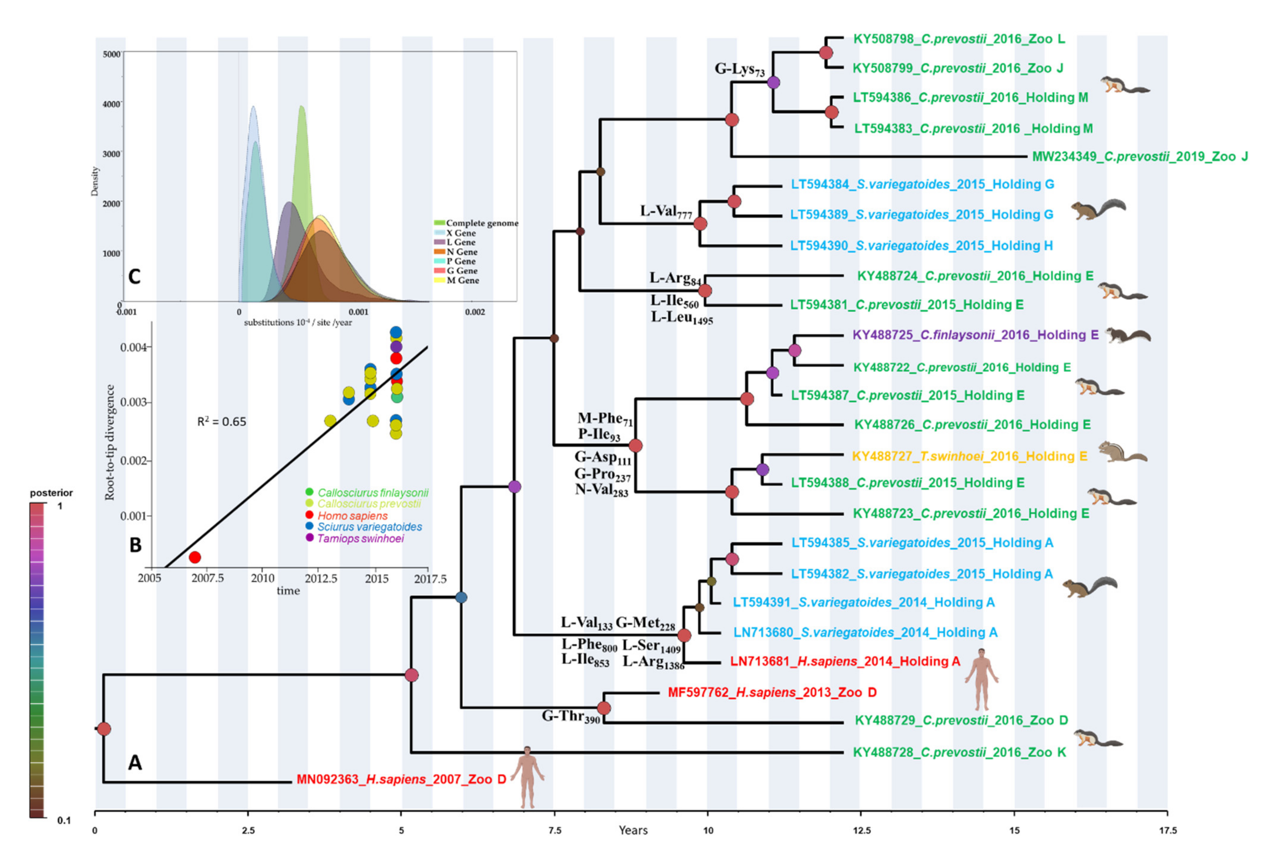 Microorganisms 09 01141 g001