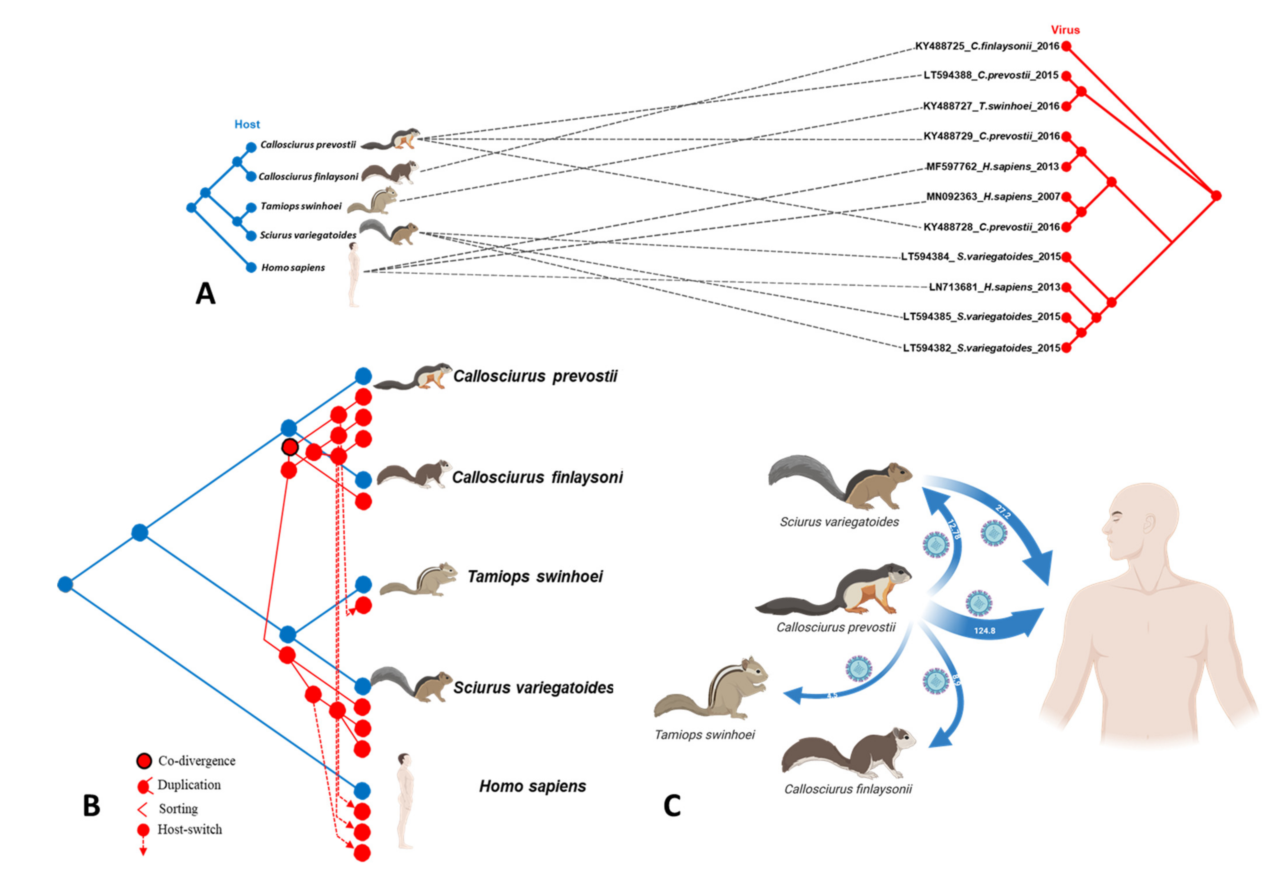 Microorganisms 09 01141 g002