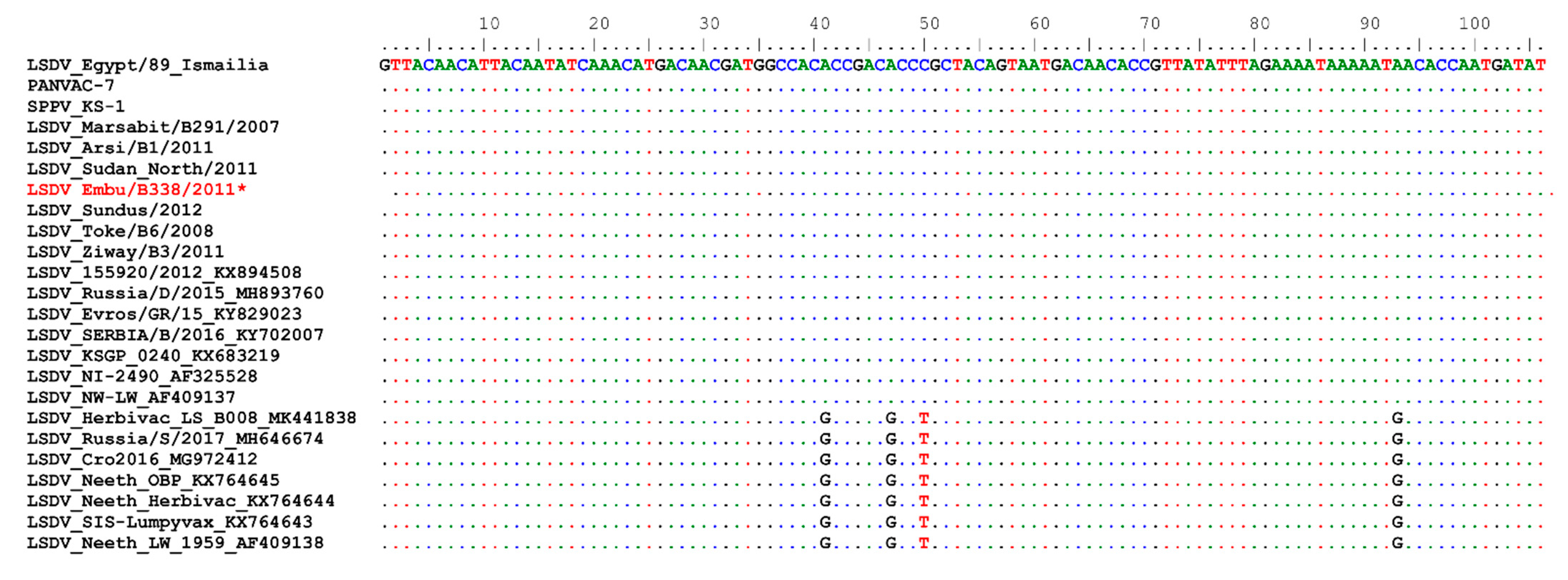 Microorganisms Free Full Text Molecular Analysis Of East African Lumpy Skin Disease Viruses Reveals A Mixed Isolate With Features Of Both Vaccine And Field Isolates Microorganisms Free Full Text Molecular Analysis Of East African Lumpy Skin Disease Viruses Reveals A Mixed Isolate With Features Of Both Vaccine And Field Isolates