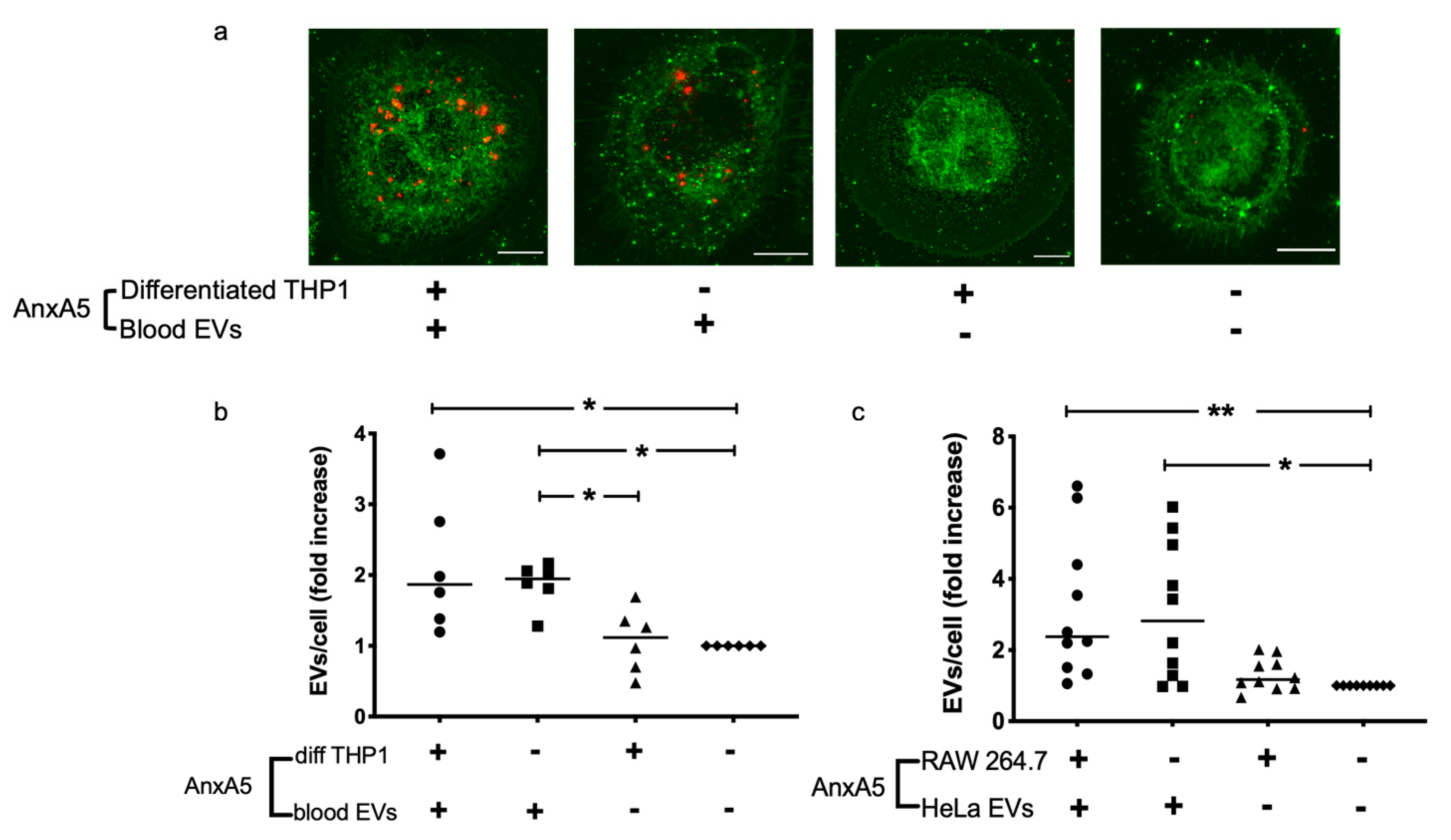Microorganisms 09 01143 g001 Microorganisms 09 01143 g001