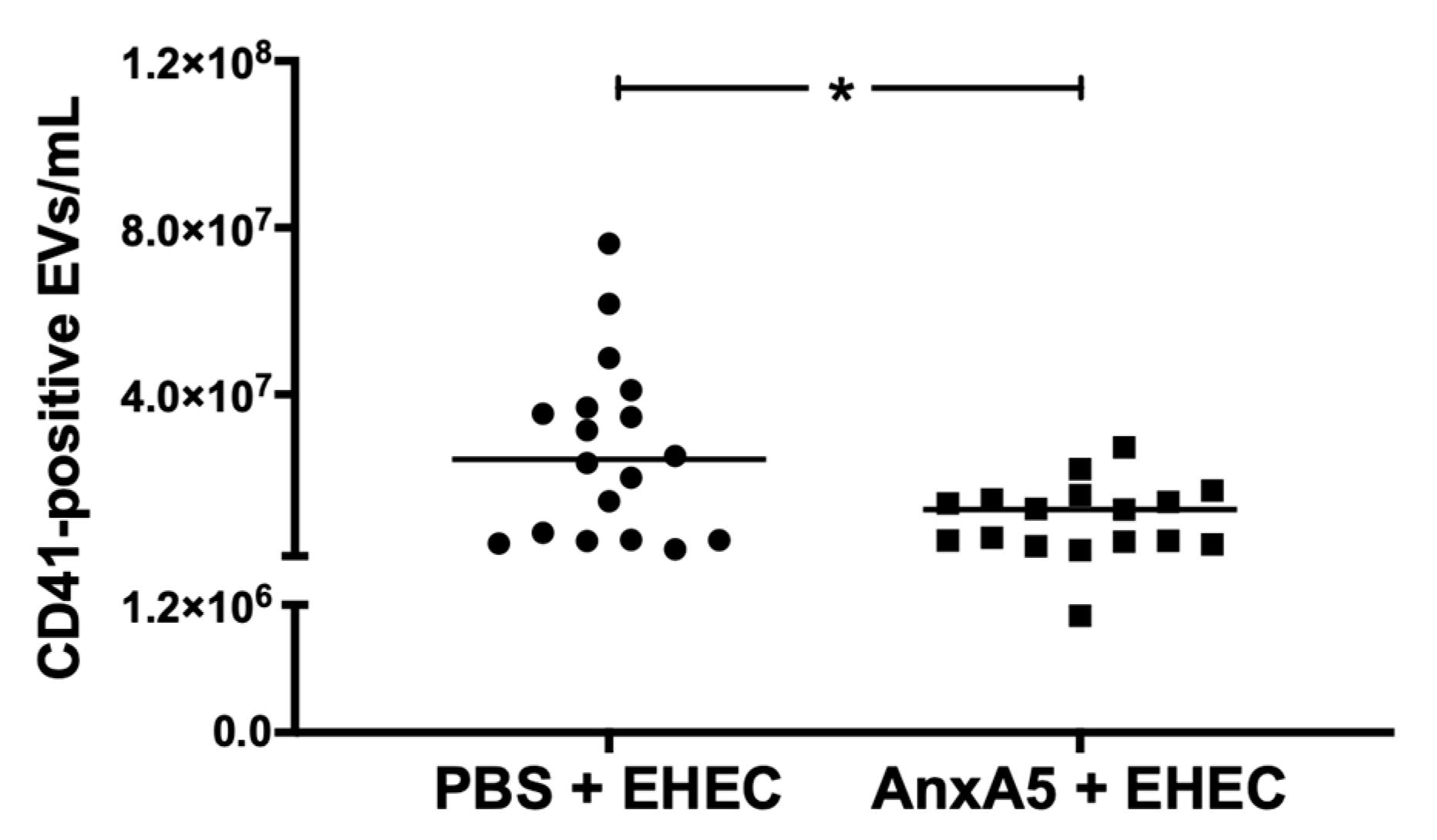 Microorganisms 09 01143 g007 Microorganisms 09 01143 g007