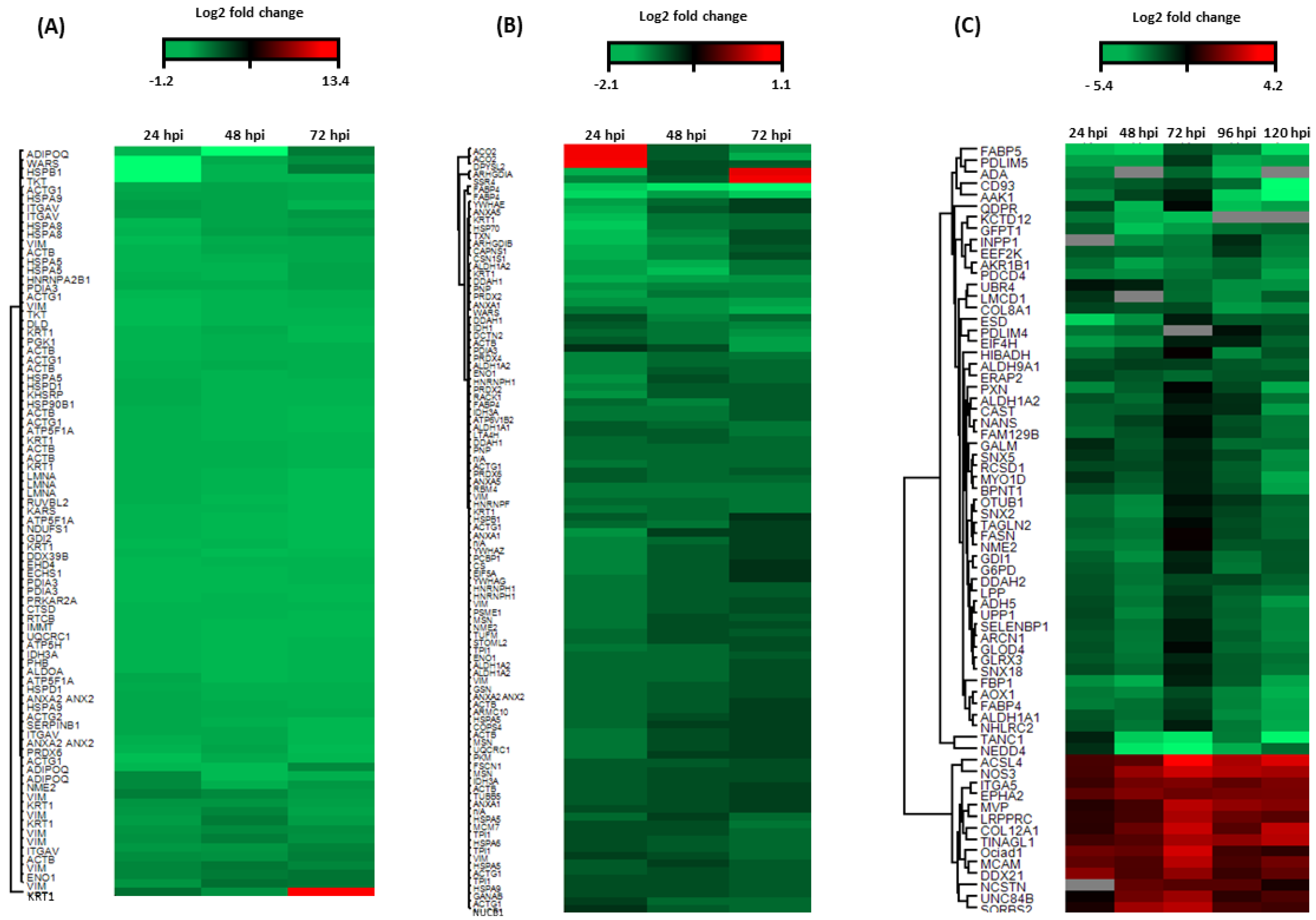 Microorganisms 09 01144 g001 Microorganisms 09 01144 g001