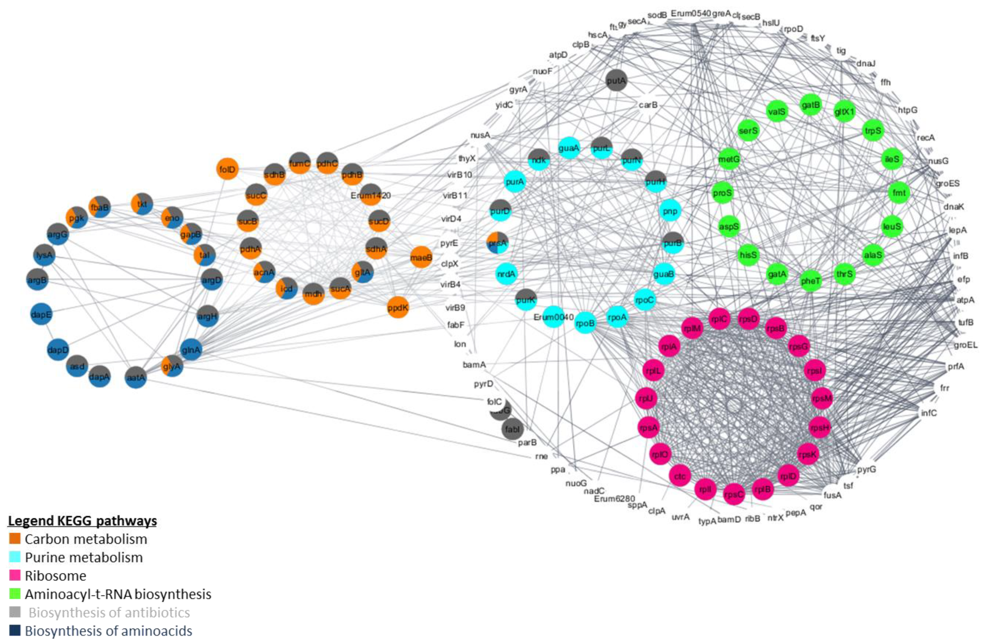 Microorganisms 09 01144 g006 Microorganisms 09 01144 g006