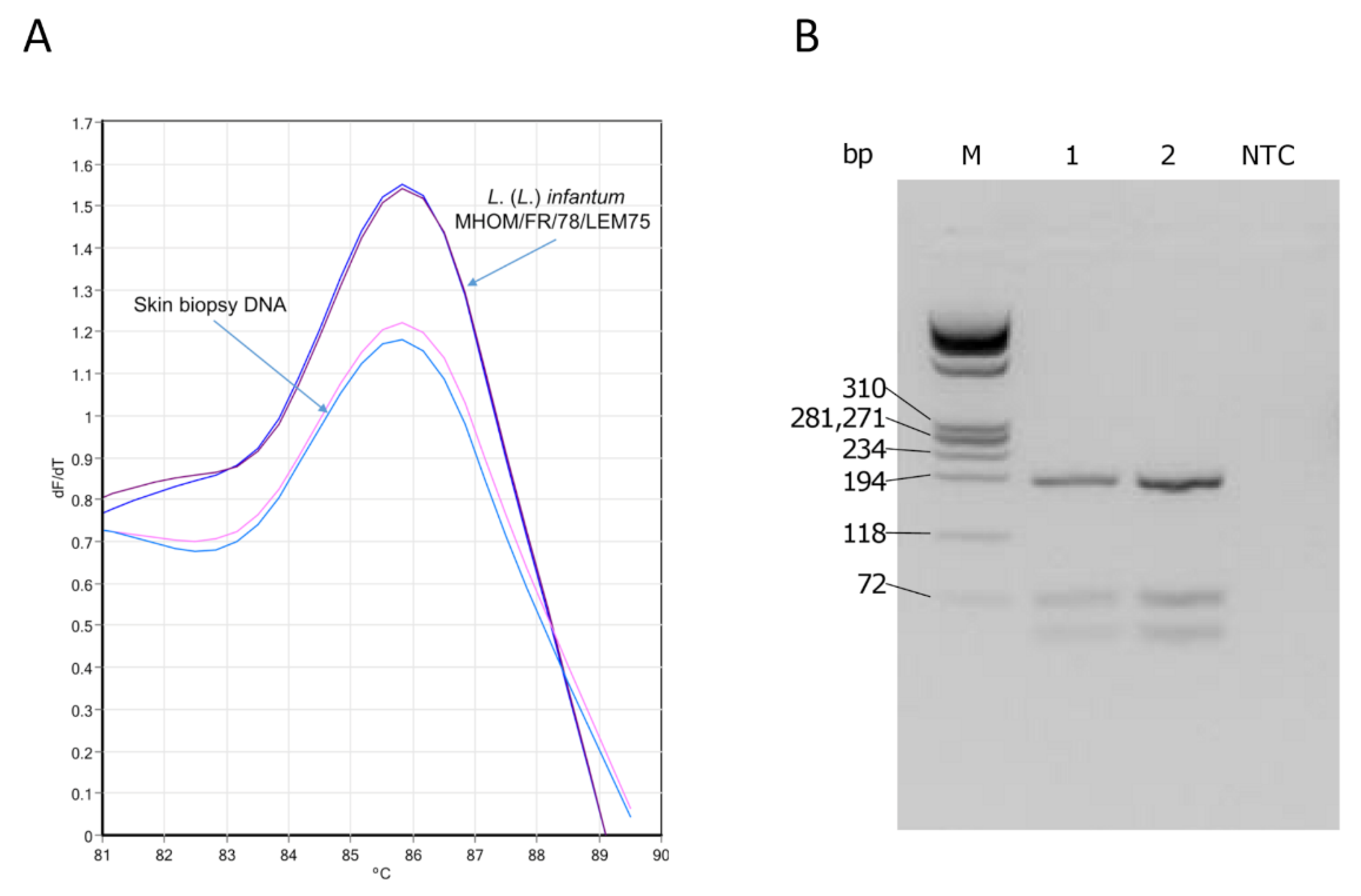 Microorganisms 09 01147 g002
