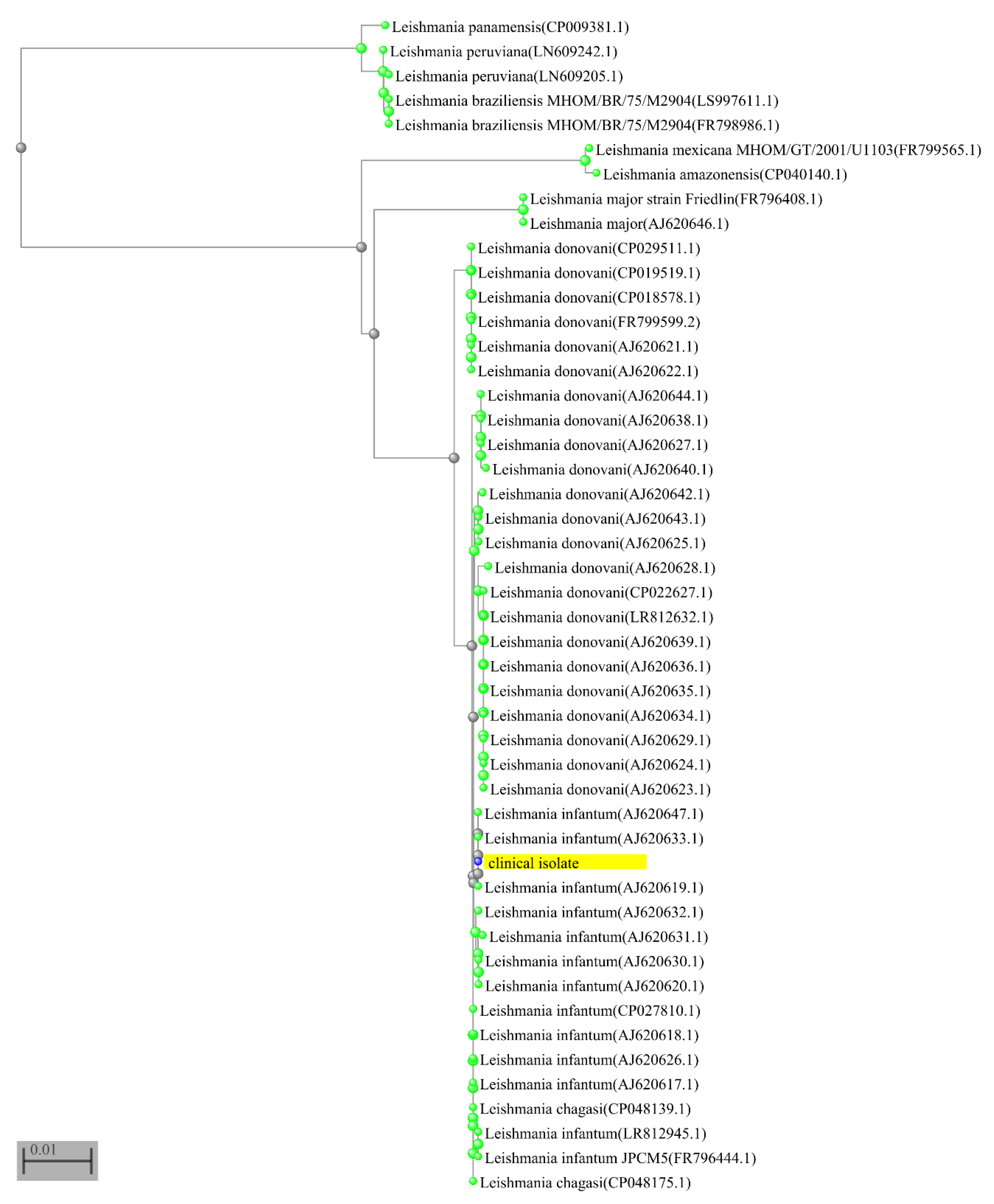 Microorganisms 09 01147 g003