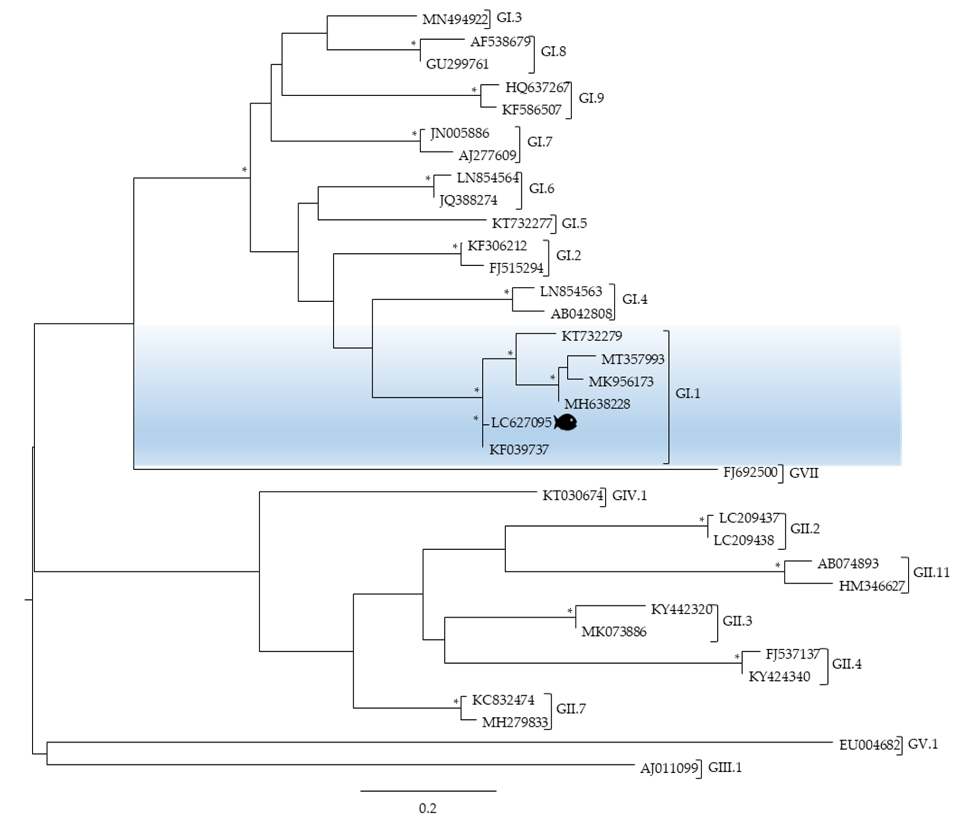 Microorganisms 09 01149 g004