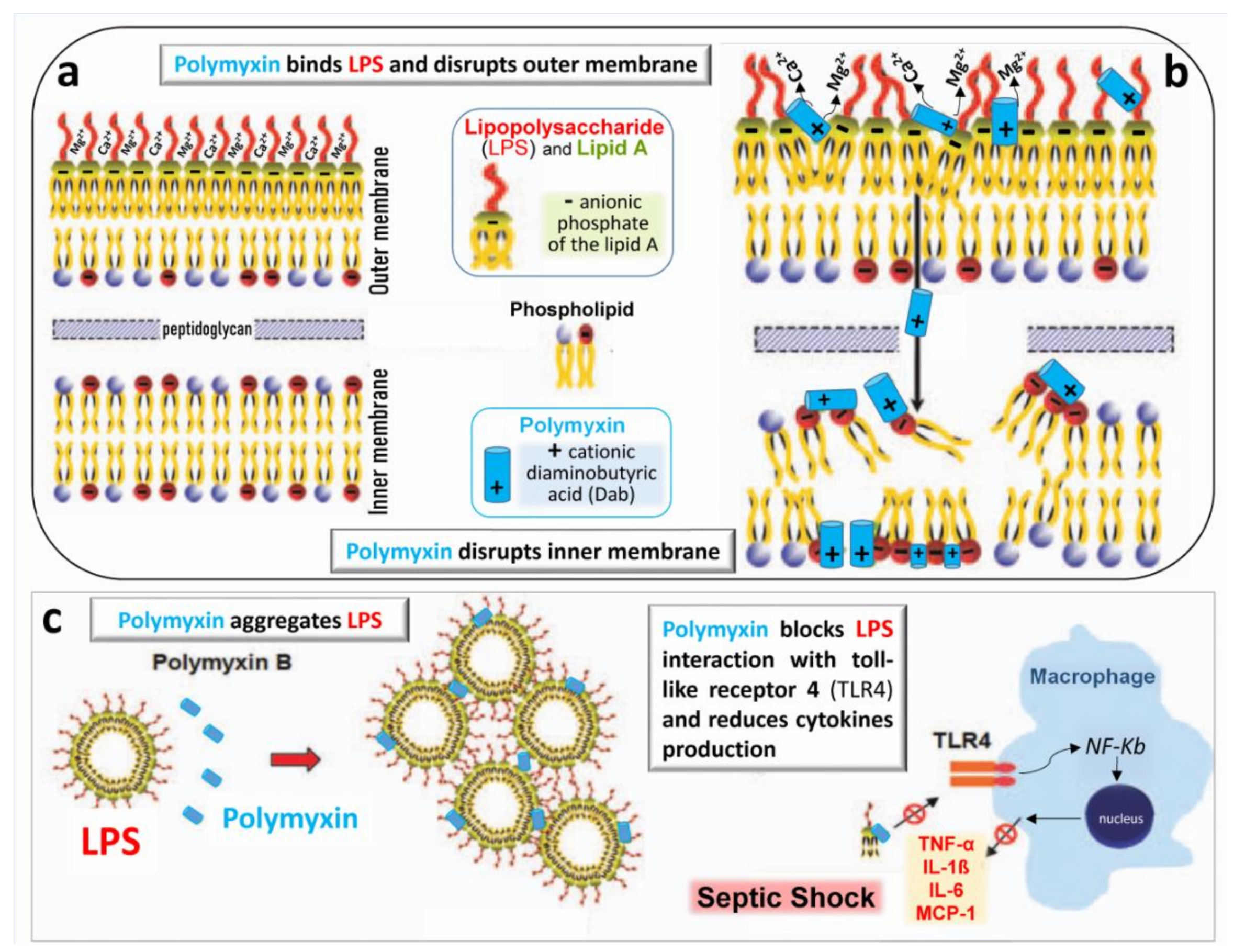 Microorganisms 09 01154 g004 Microorganisms 09 01154 g004