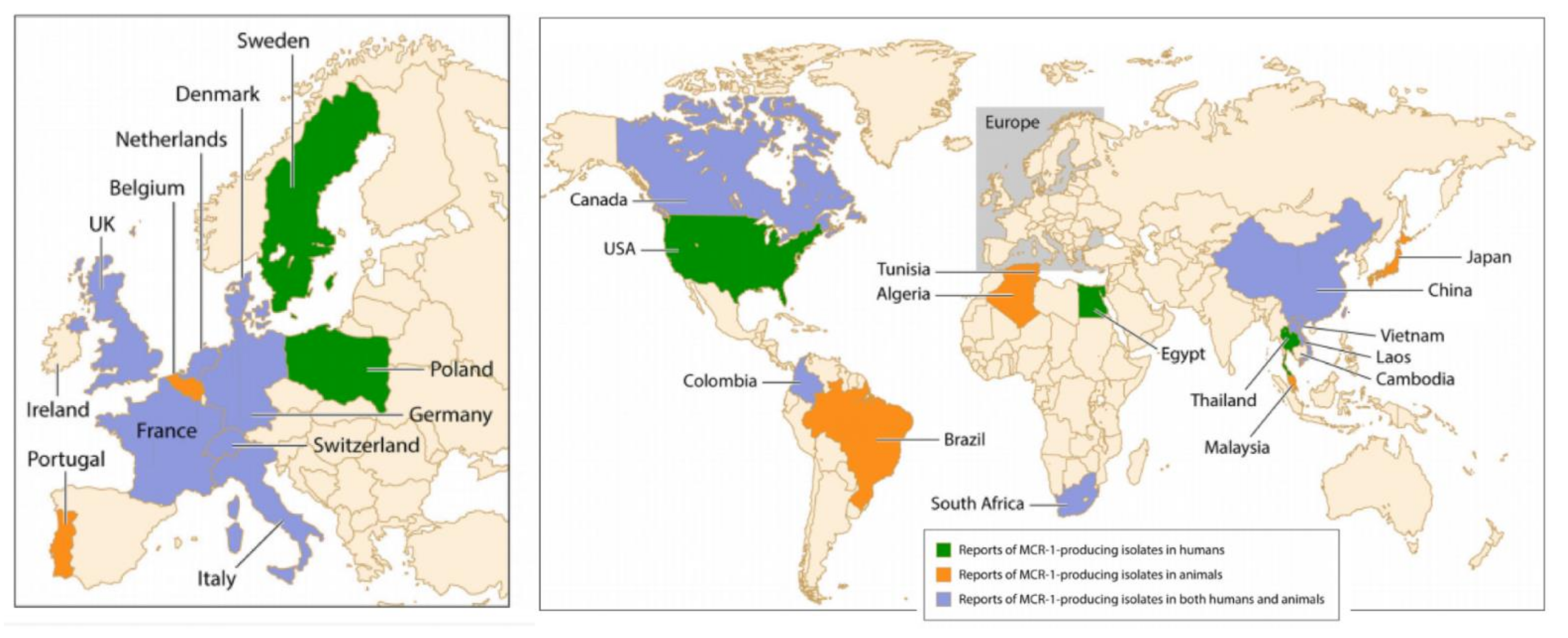 Microorganisms 09 01154 g005 Microorganisms 09 01154 g005
