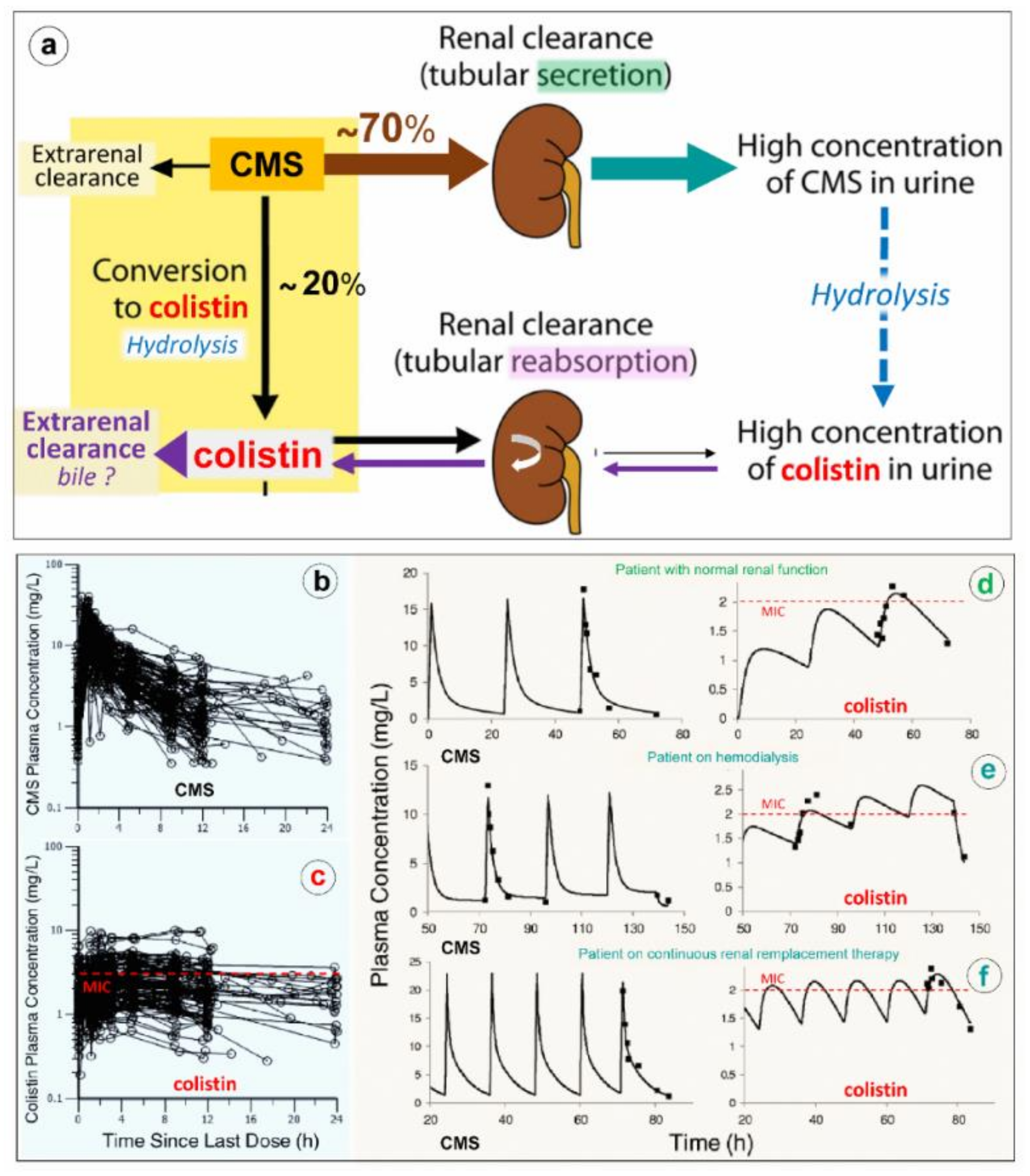 Microorganisms 09 01154 g006 Microorganisms 09 01154 g006