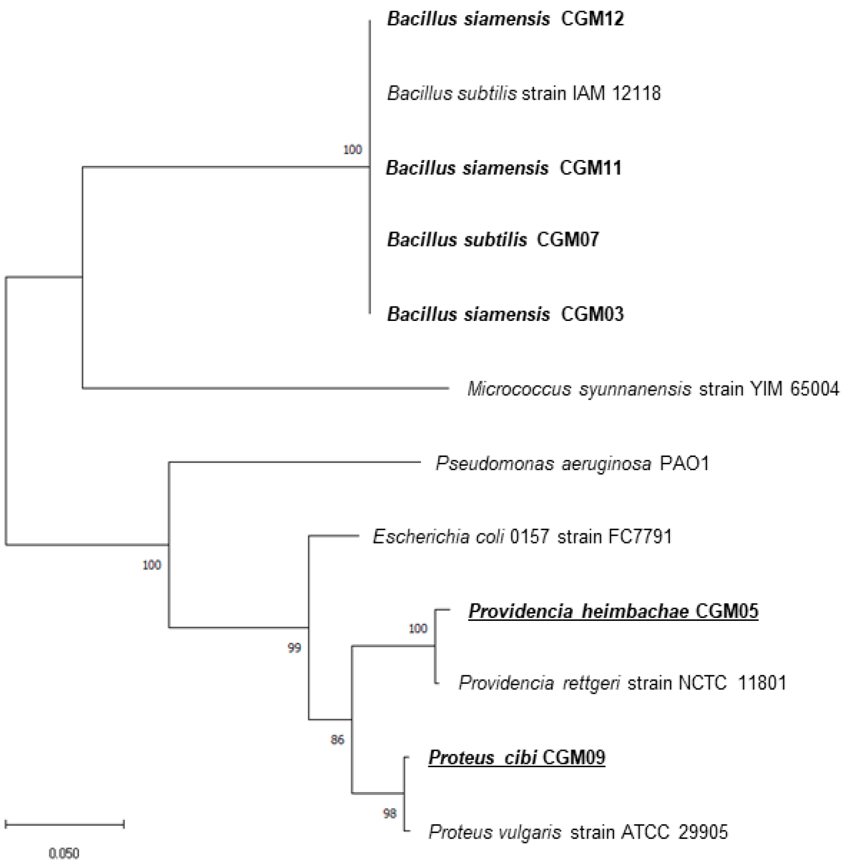 Microorganisms 09 01156 g005