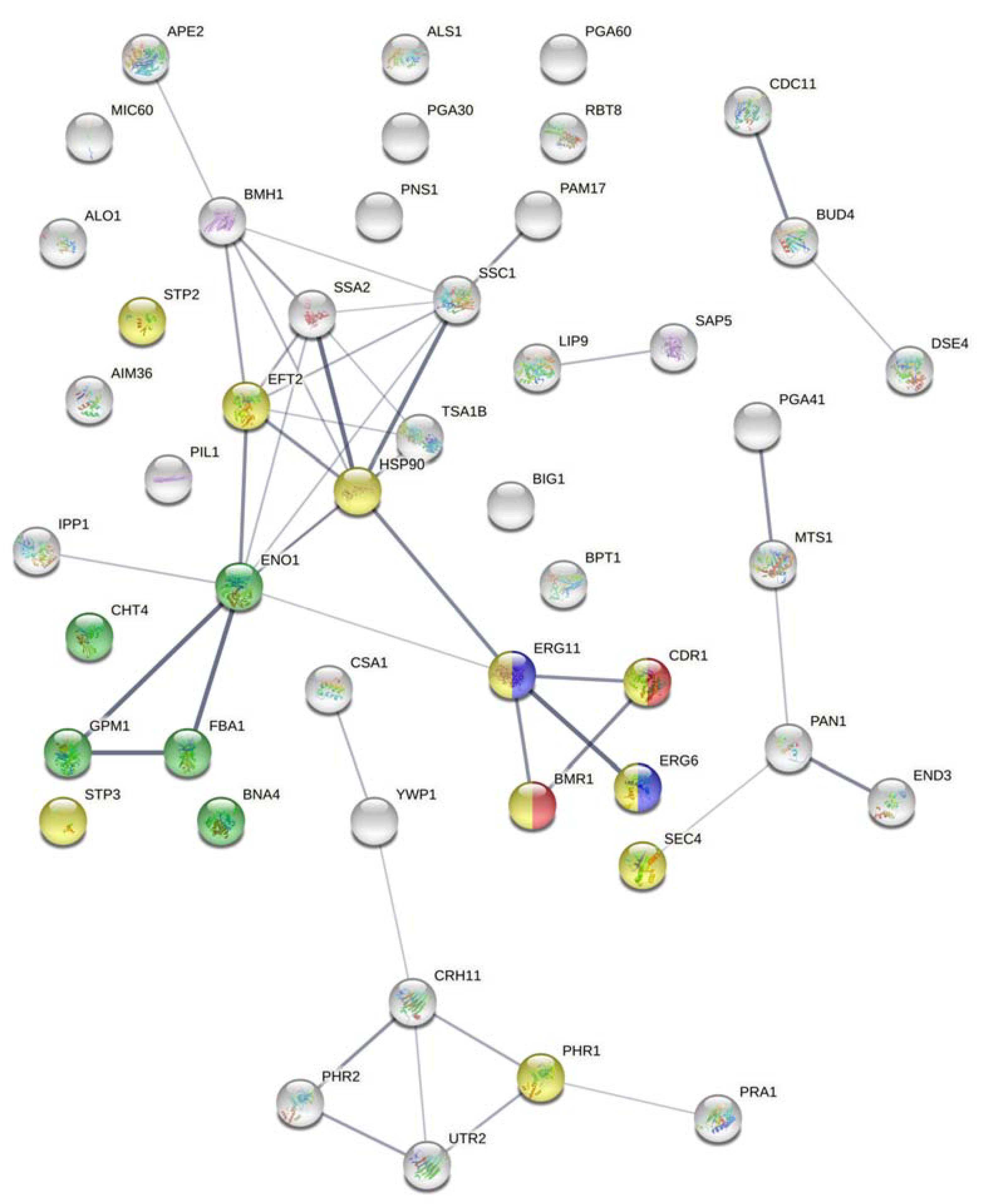Microorganisms 09 01161 g001