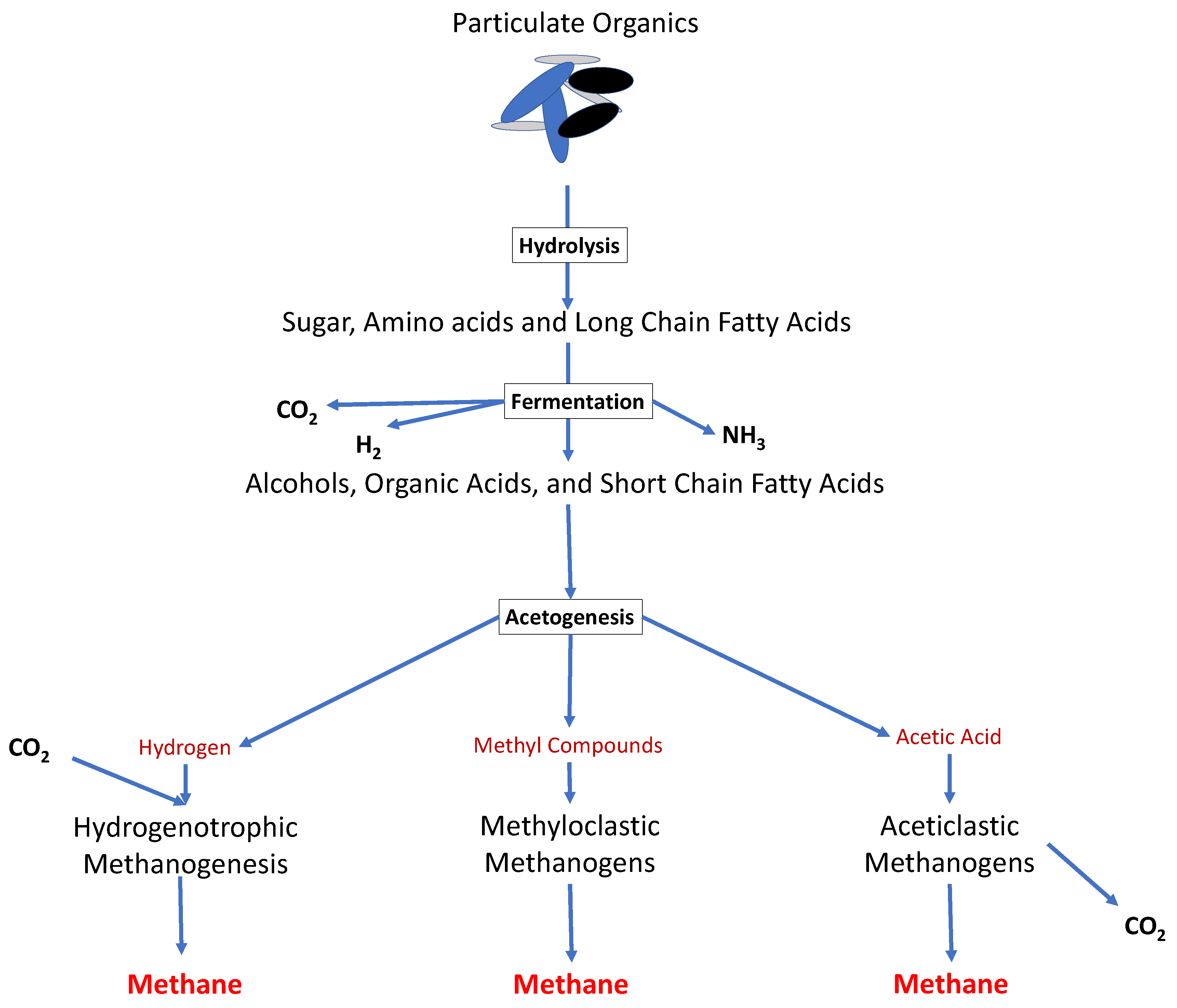 Microorganisms 09 01162 g001 Microorganisms 09 01162 g001