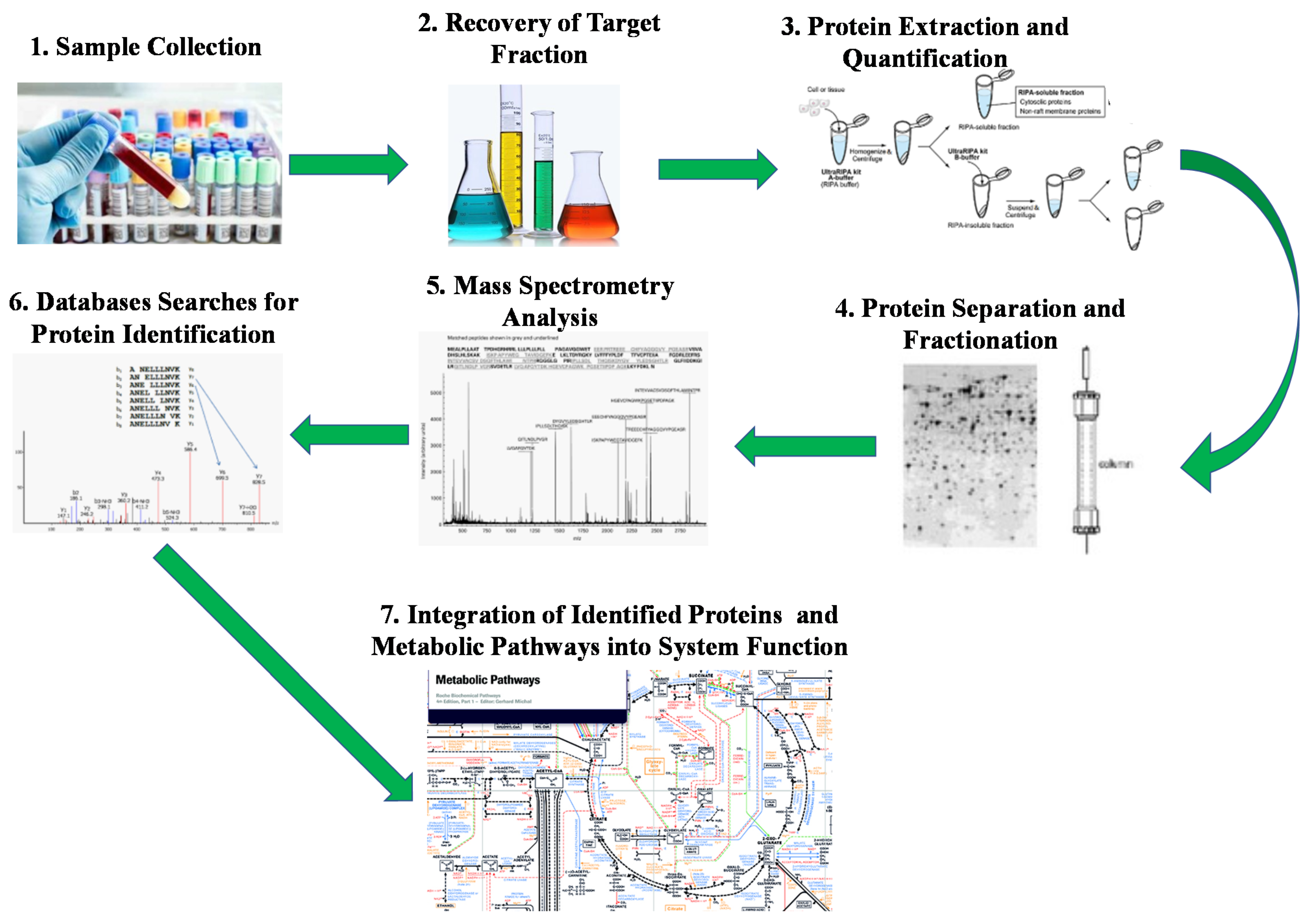 Microorganisms 09 01162 g003 Microorganisms 09 01162 g003