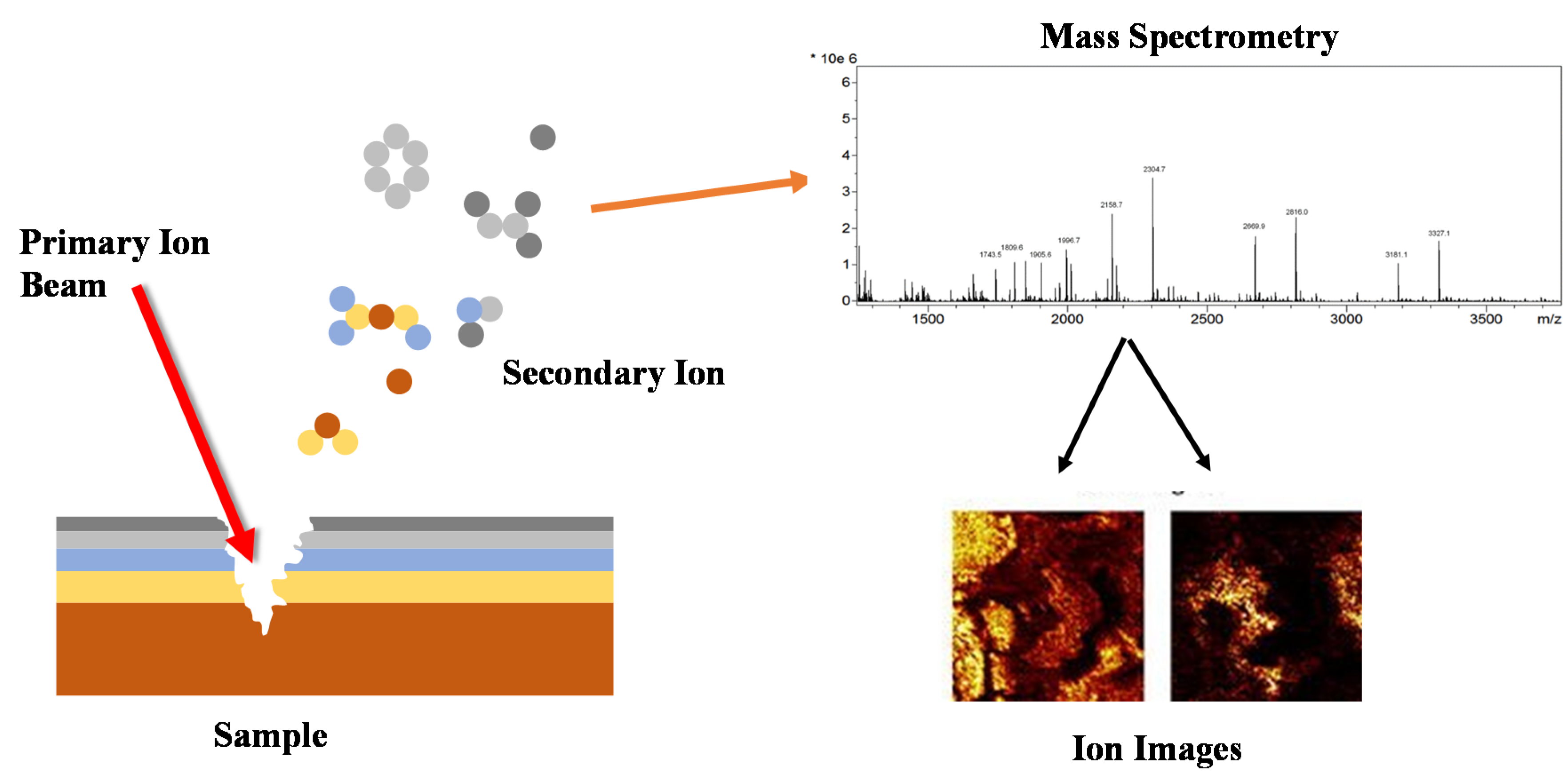 Microorganisms 09 01162 g004 Microorganisms 09 01162 g004