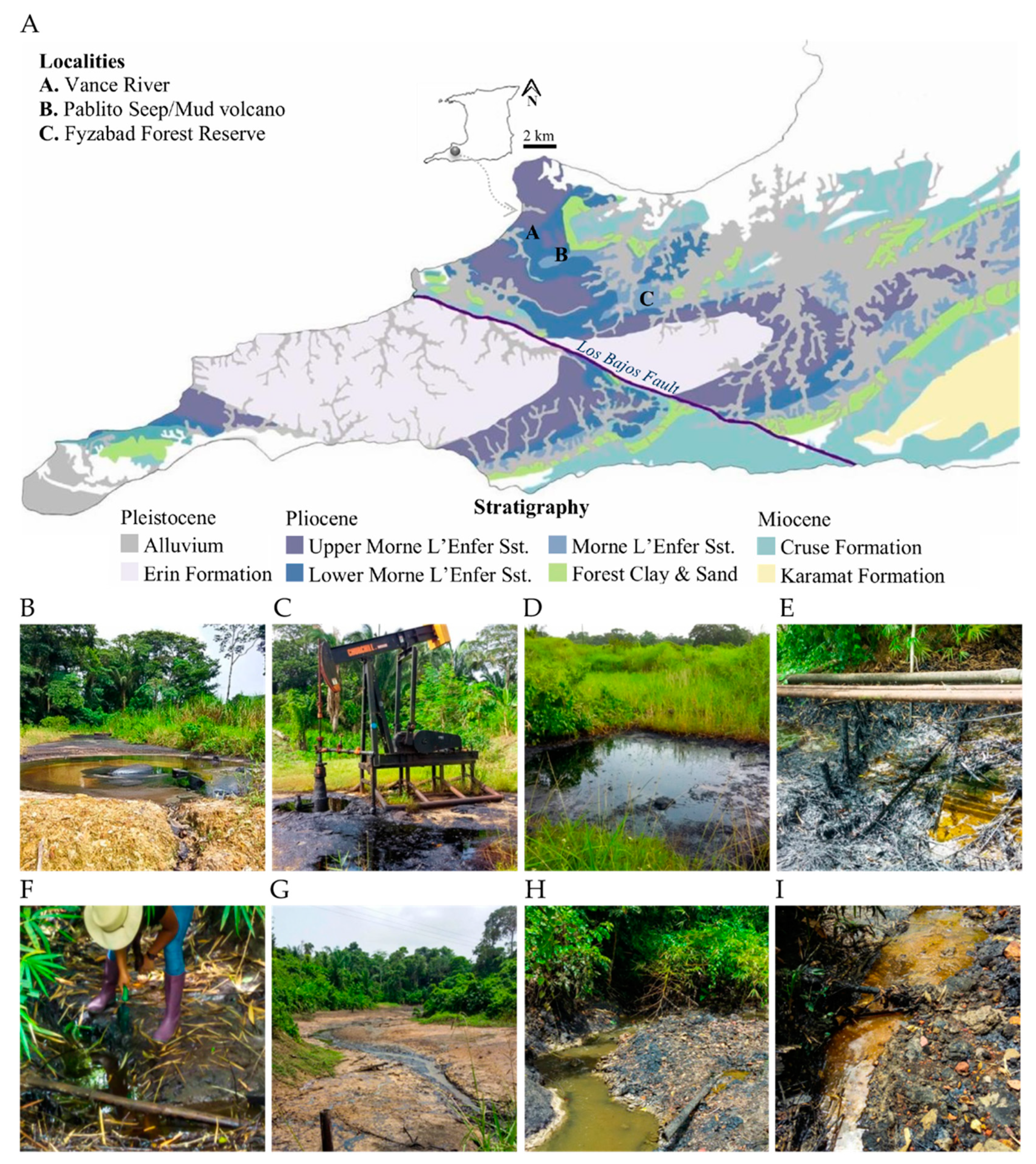Microorganisms 09 01167 g001
