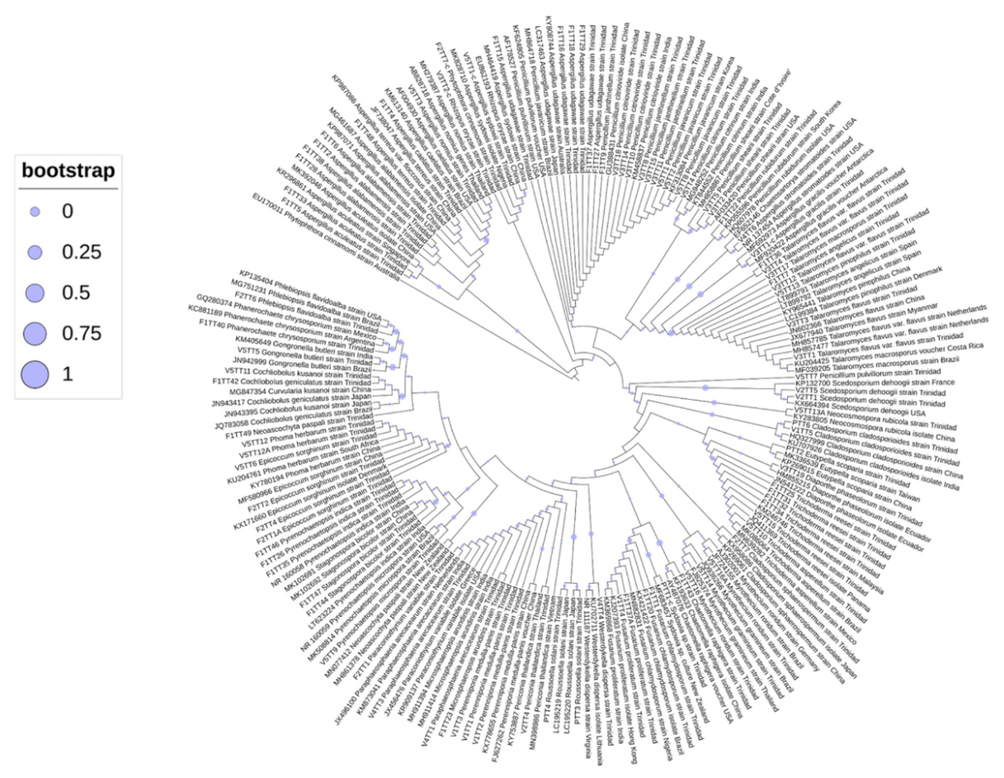 Microorganisms 09 01167 g003