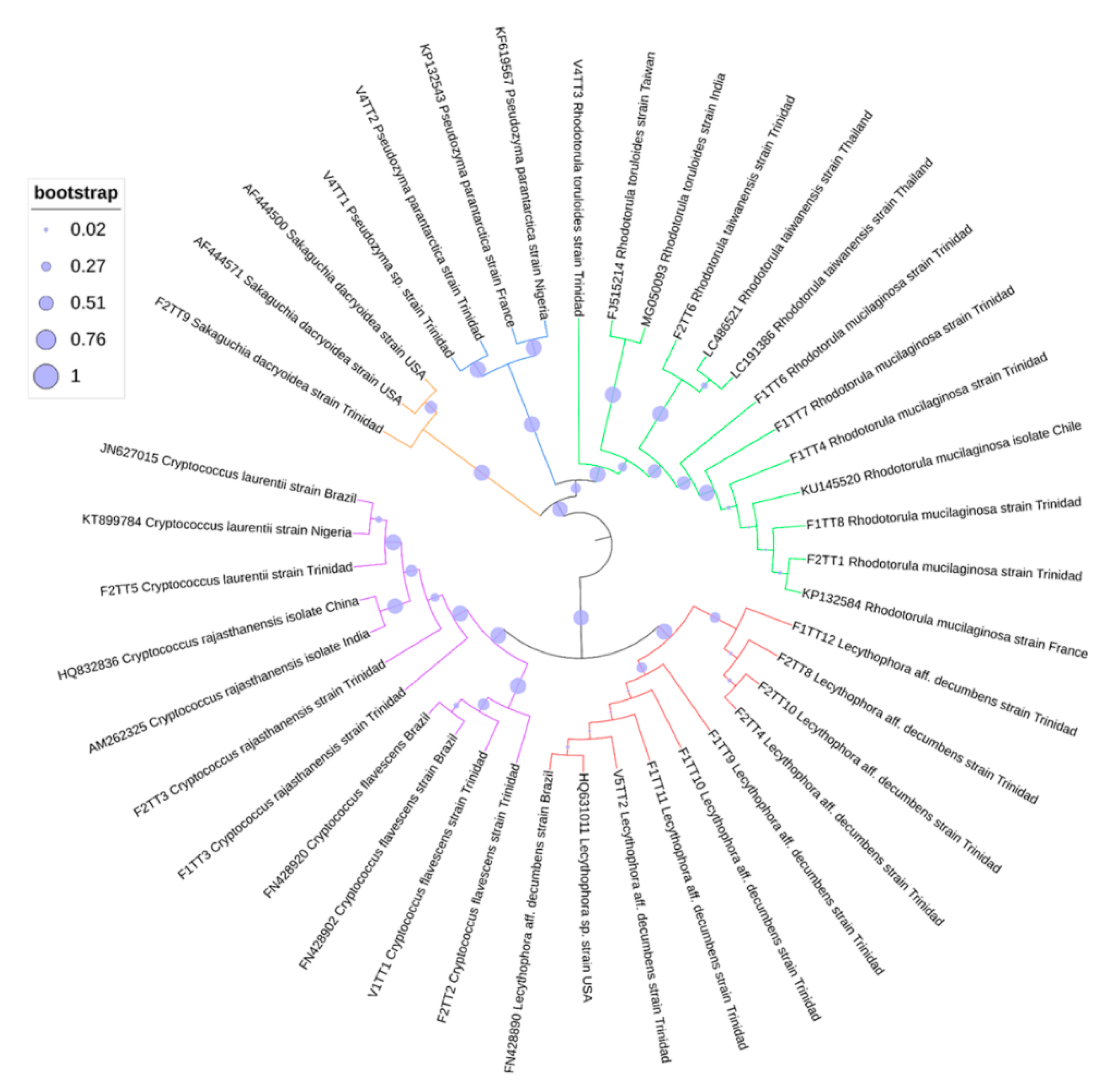Microorganisms 09 01167 g004