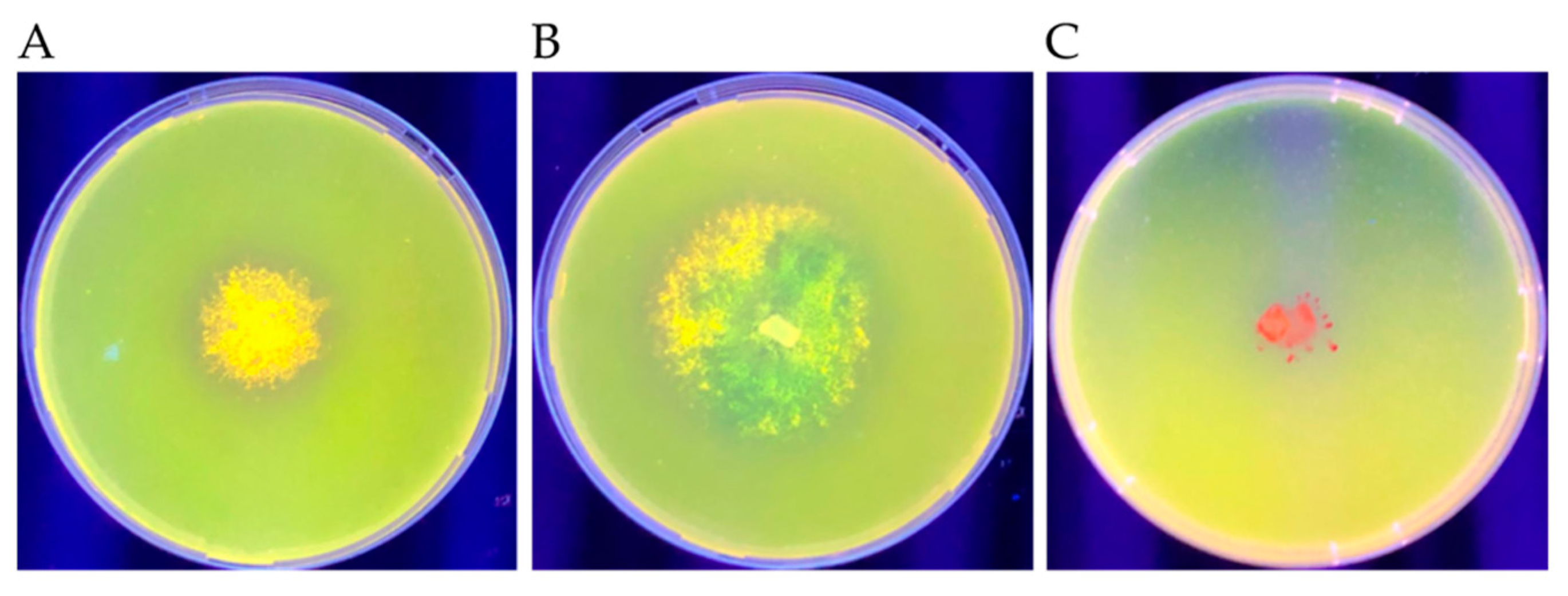 Microorganisms 09 01167 g006
