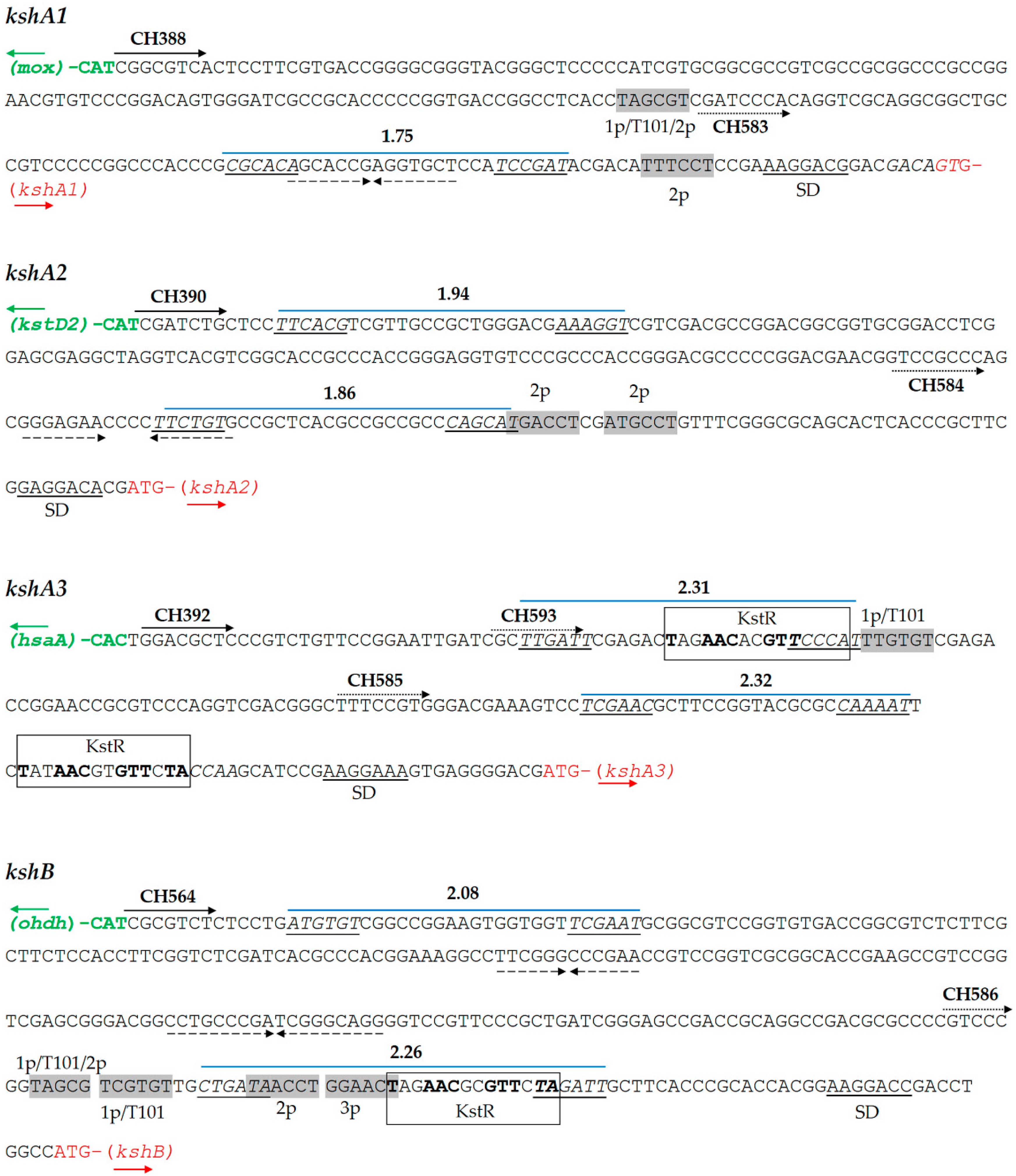 Microorganisms 09 01171 g002