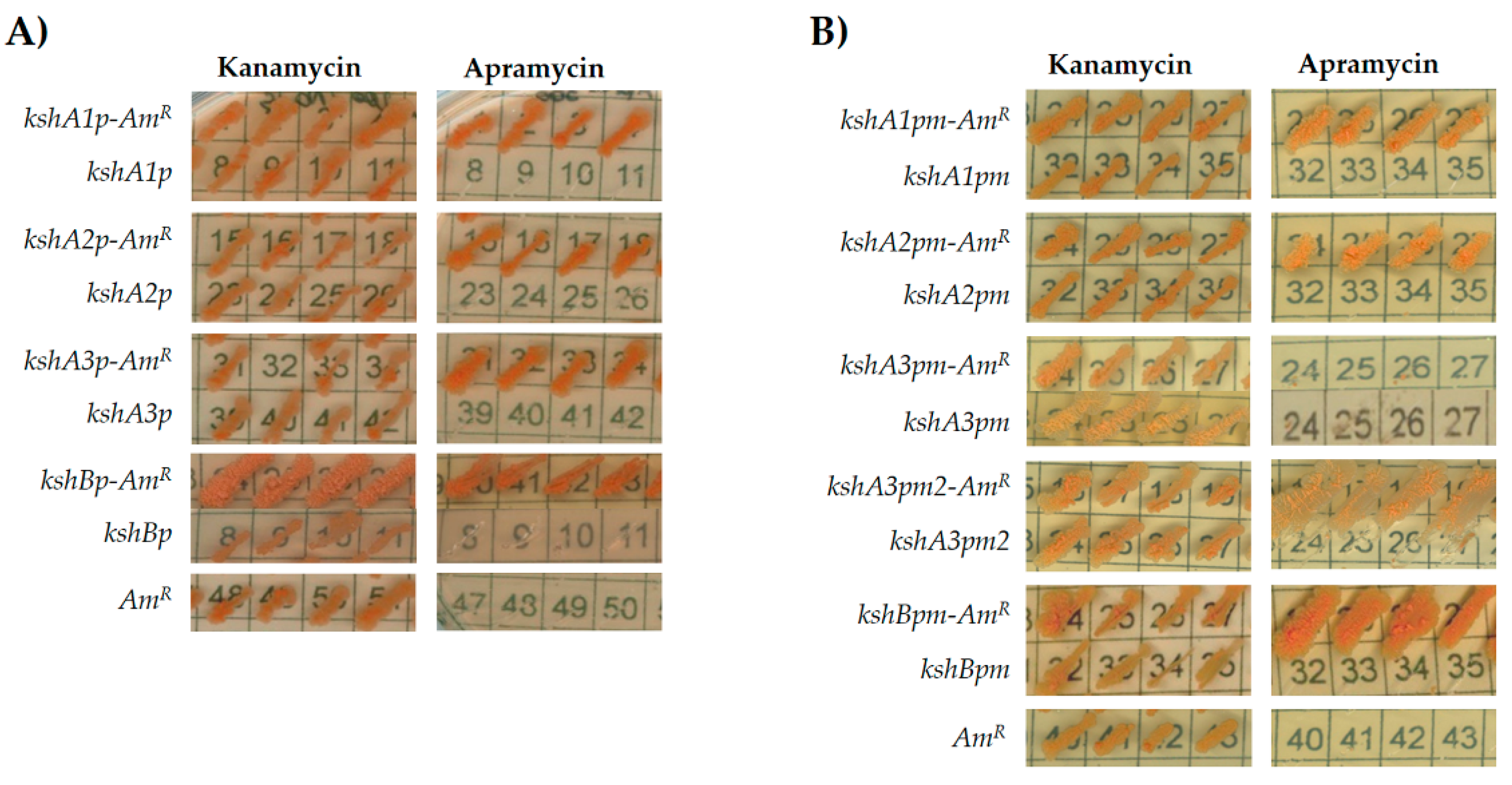 Microorganisms 09 01171 g003
