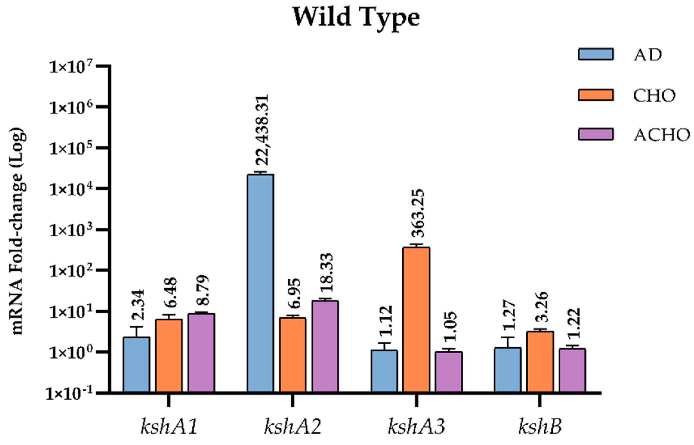Microorganisms 09 01171 g004
