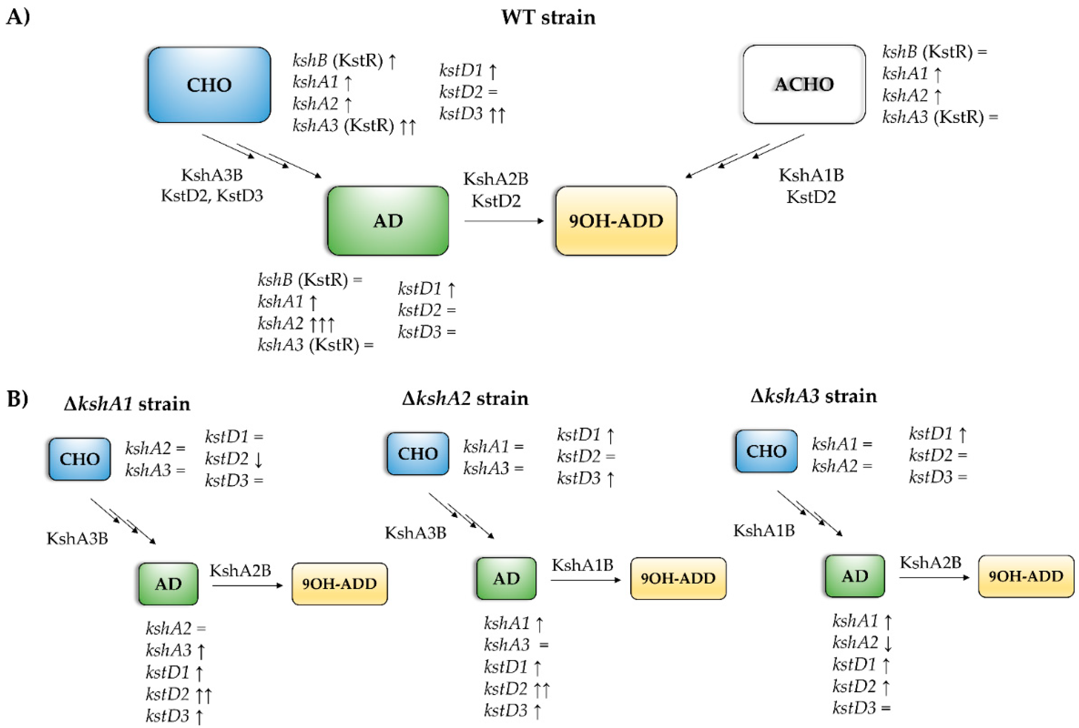 Microorganisms 09 01171 g006