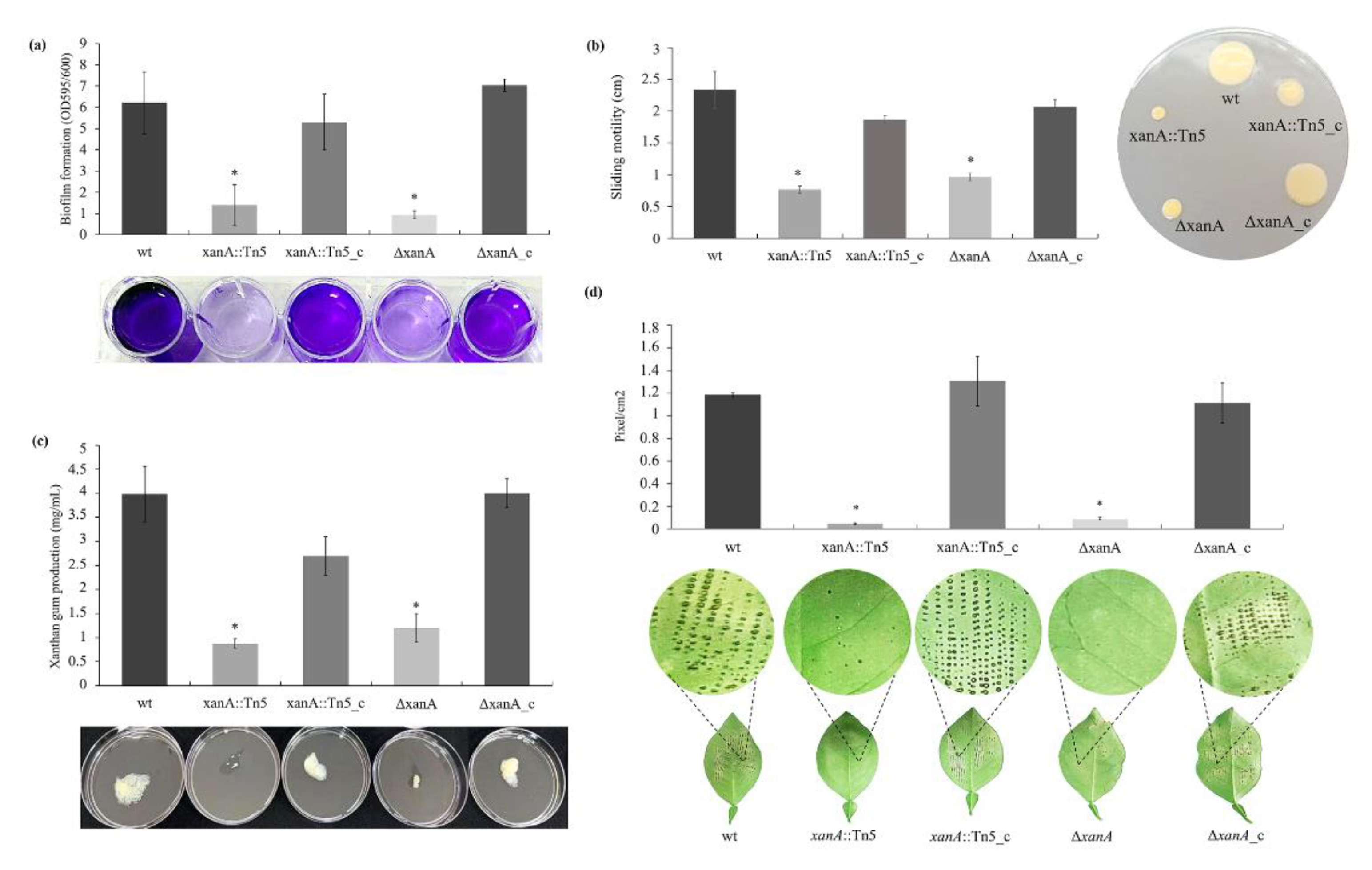 Microorganisms 09 01176 g003