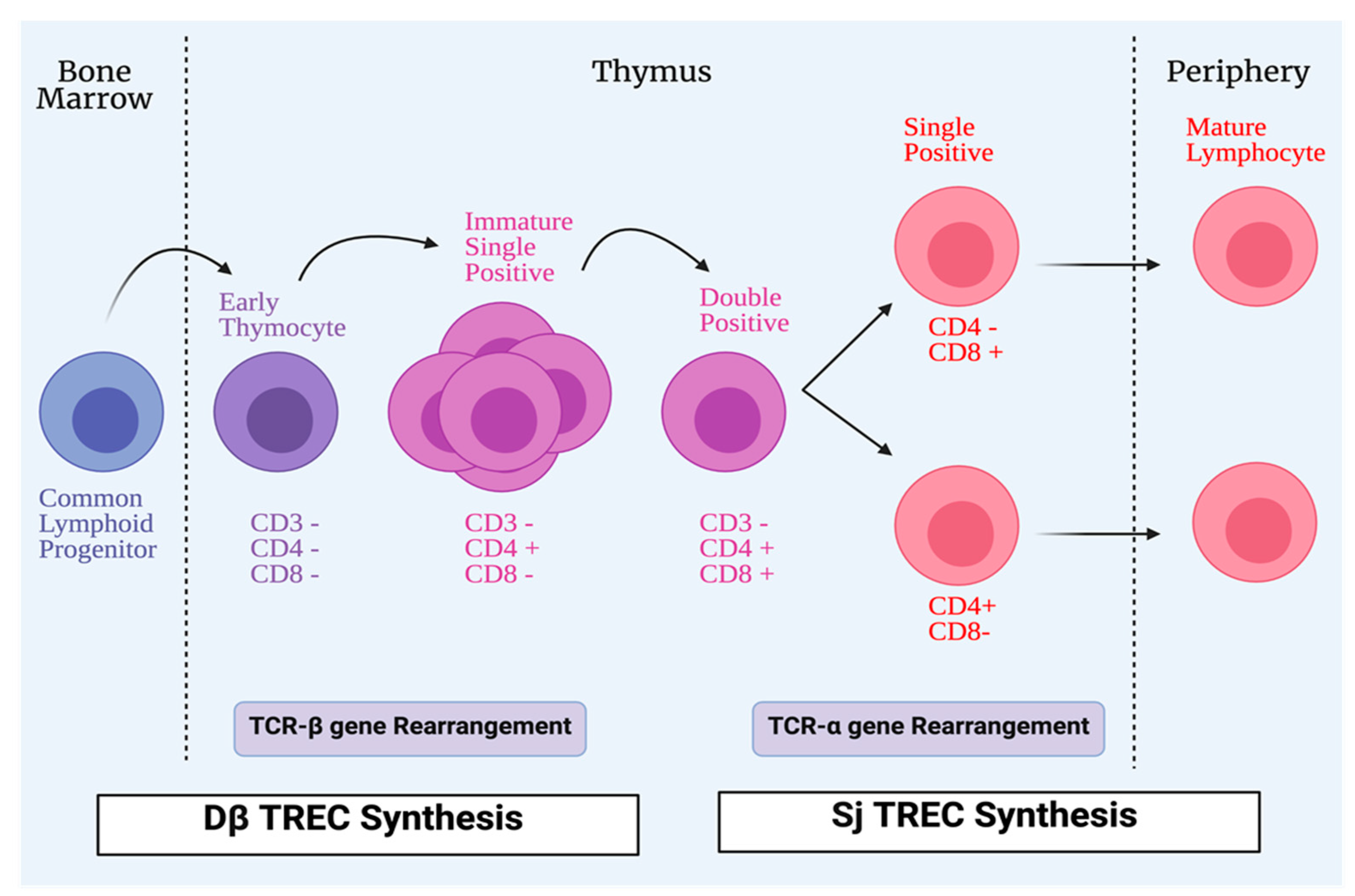 Microorganisms 09 01177 g002