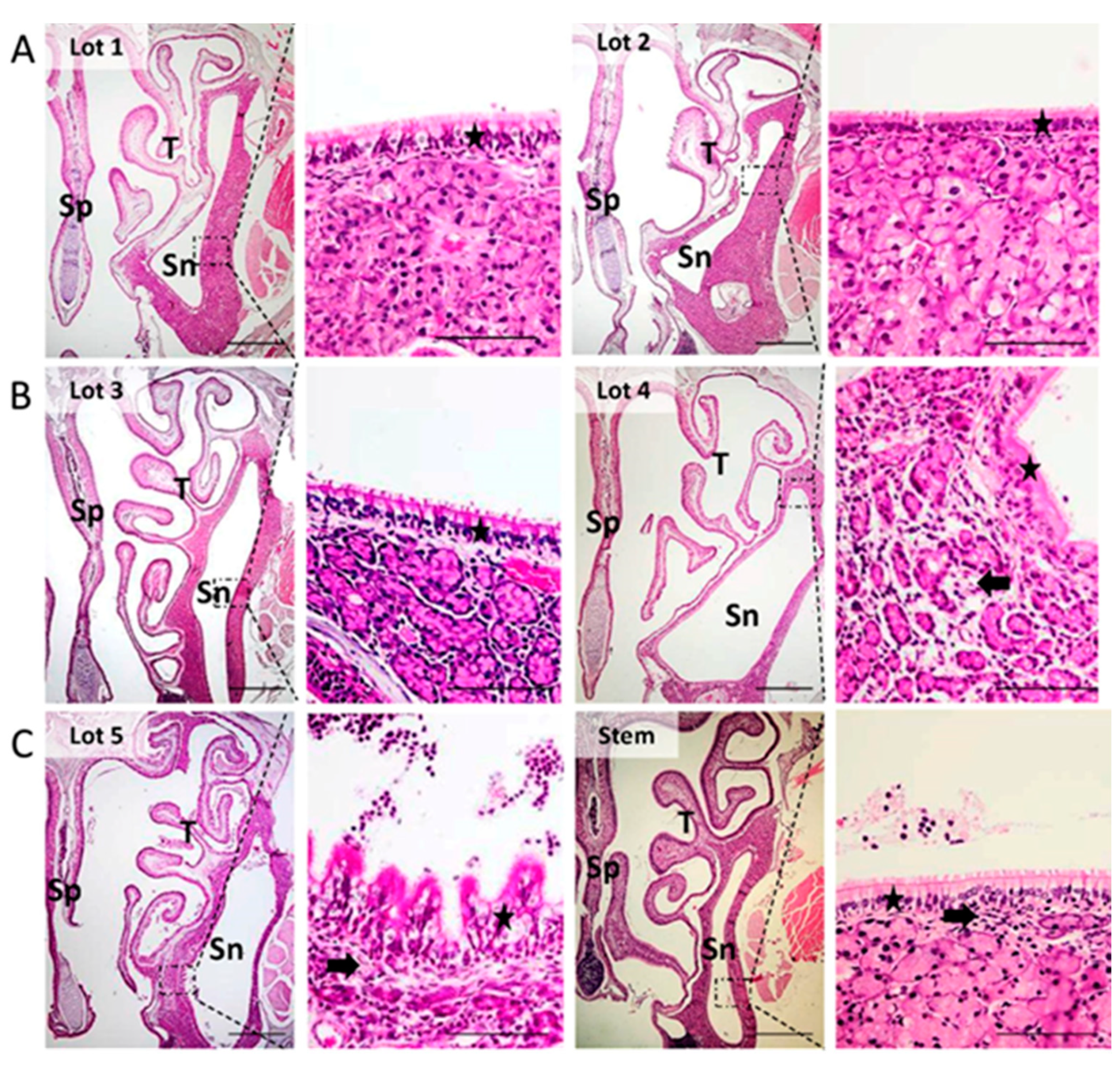 Microorganisms 09 01182 g001