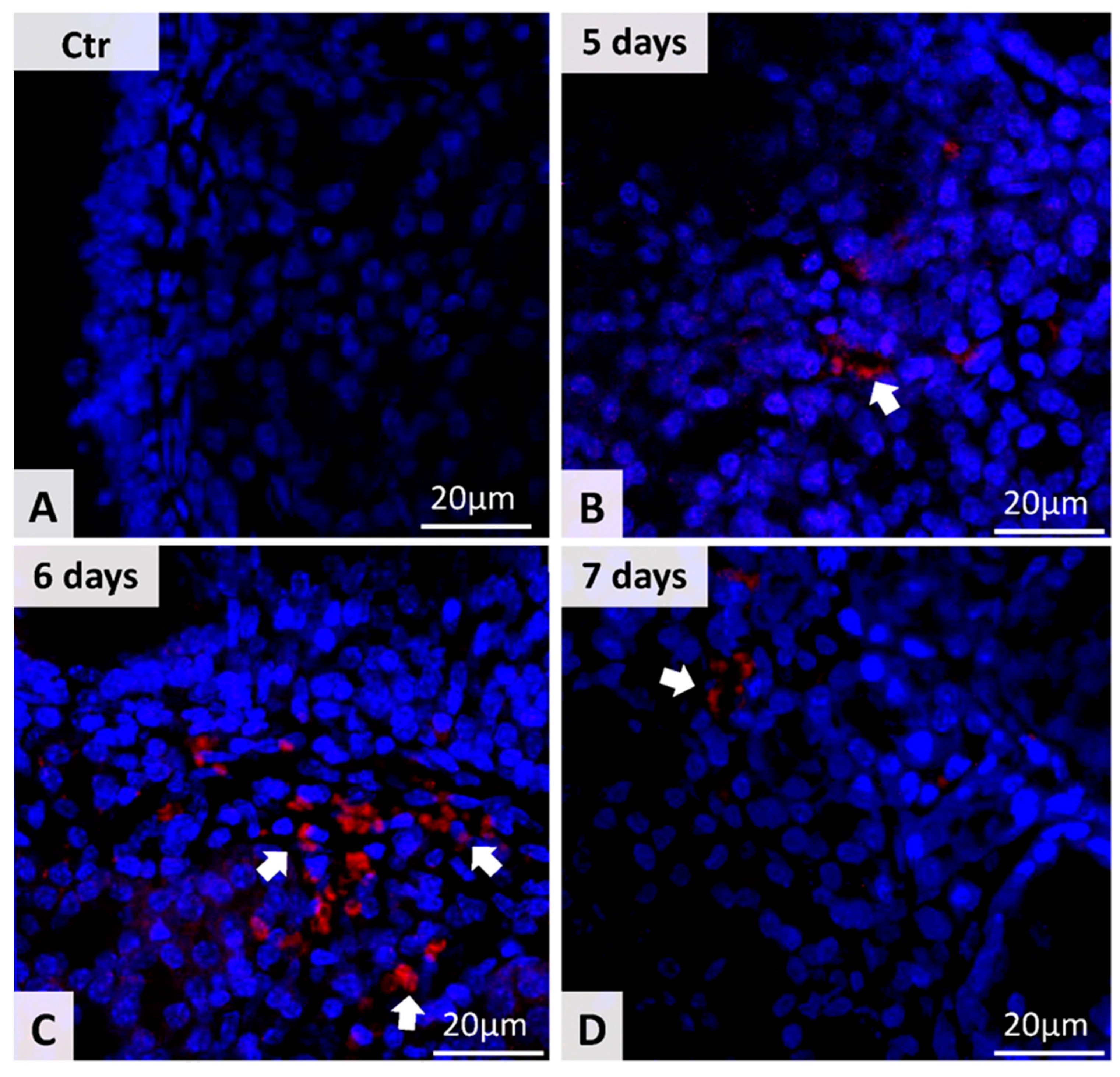 Microorganisms 09 01182 g002