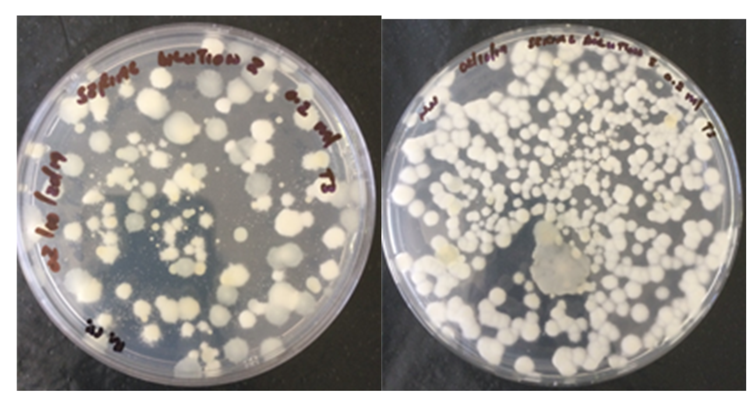 Microorganisms 09 01184 g001