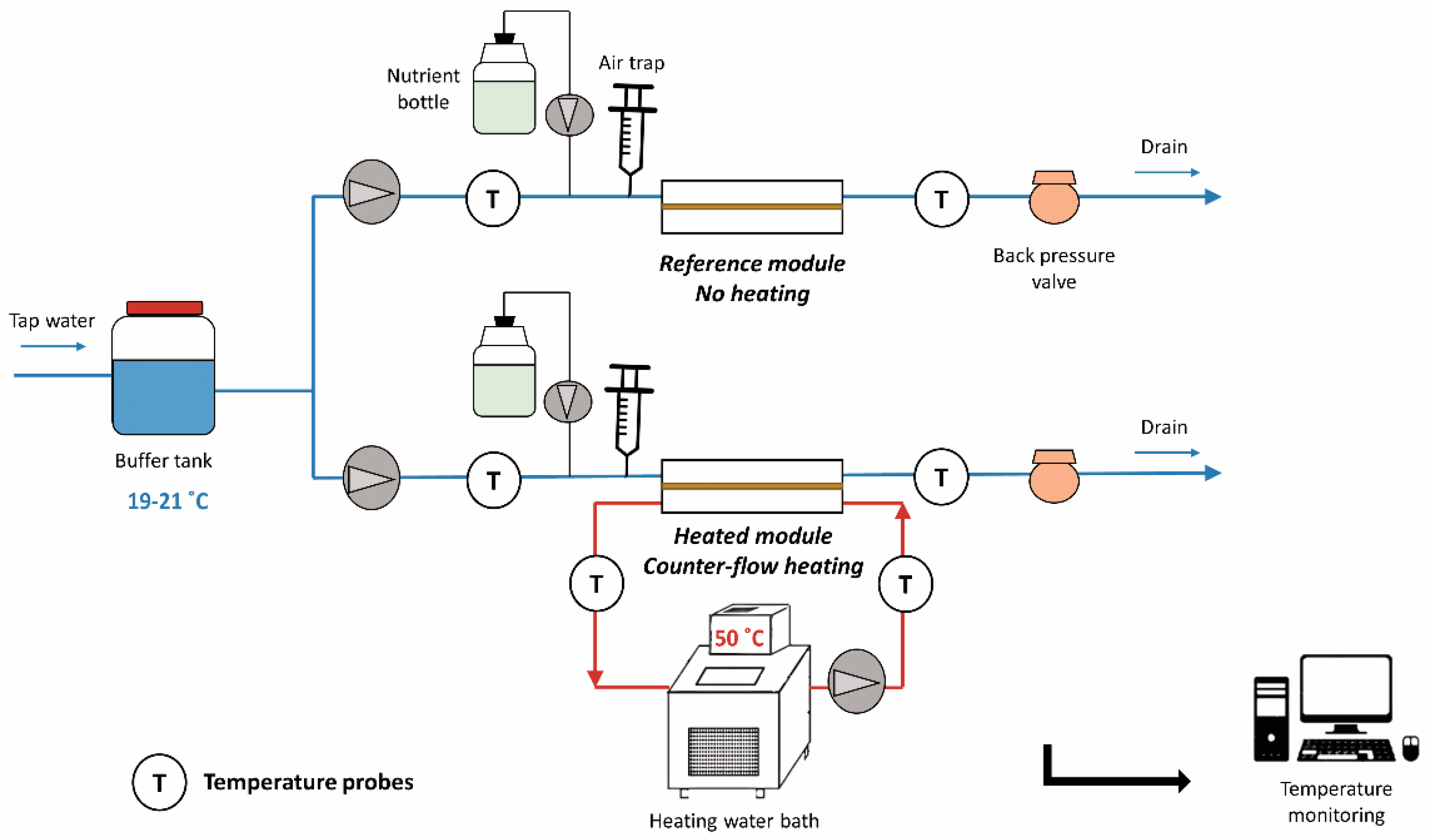 Microorganisms 09 01185 g002