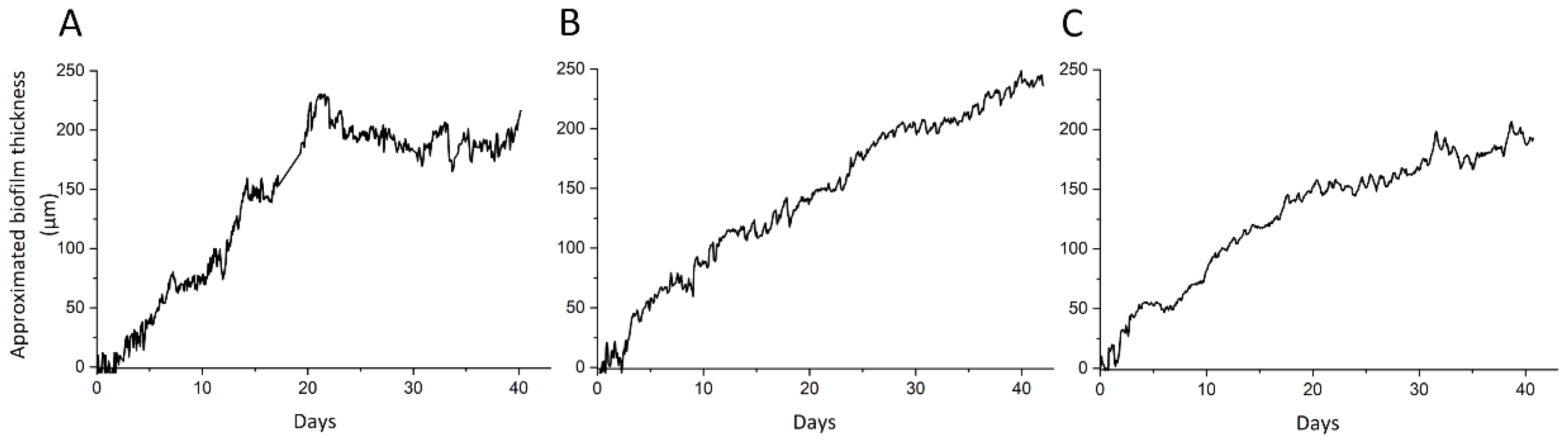 Microorganisms 09 01185 g003