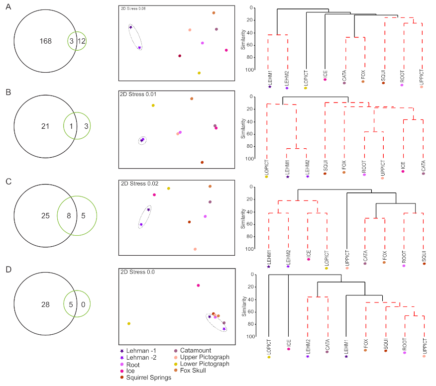 Microorganisms 09 01188 g005
