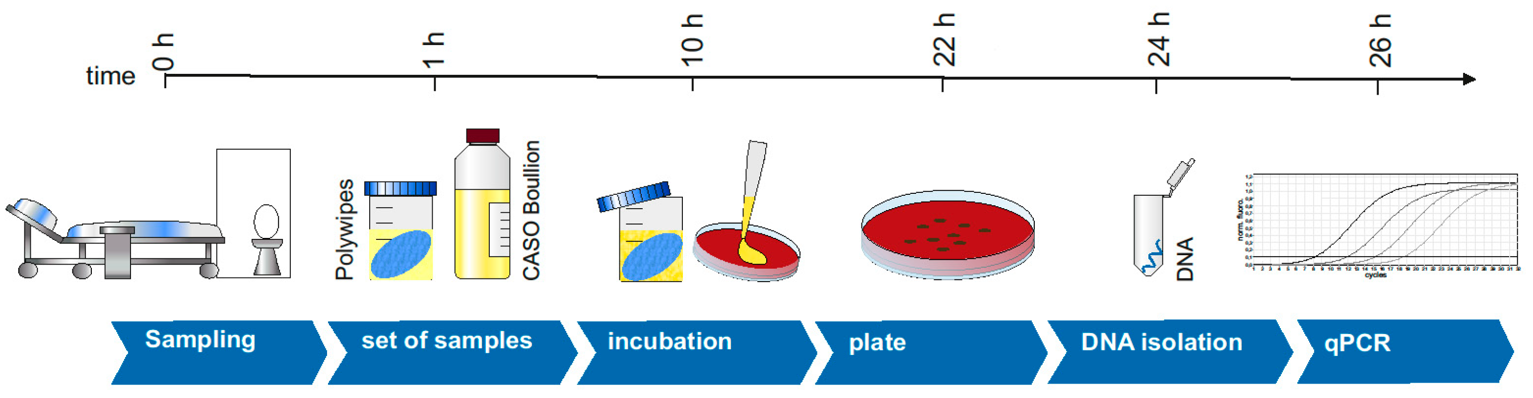 Microorganisms 09 01190 g001