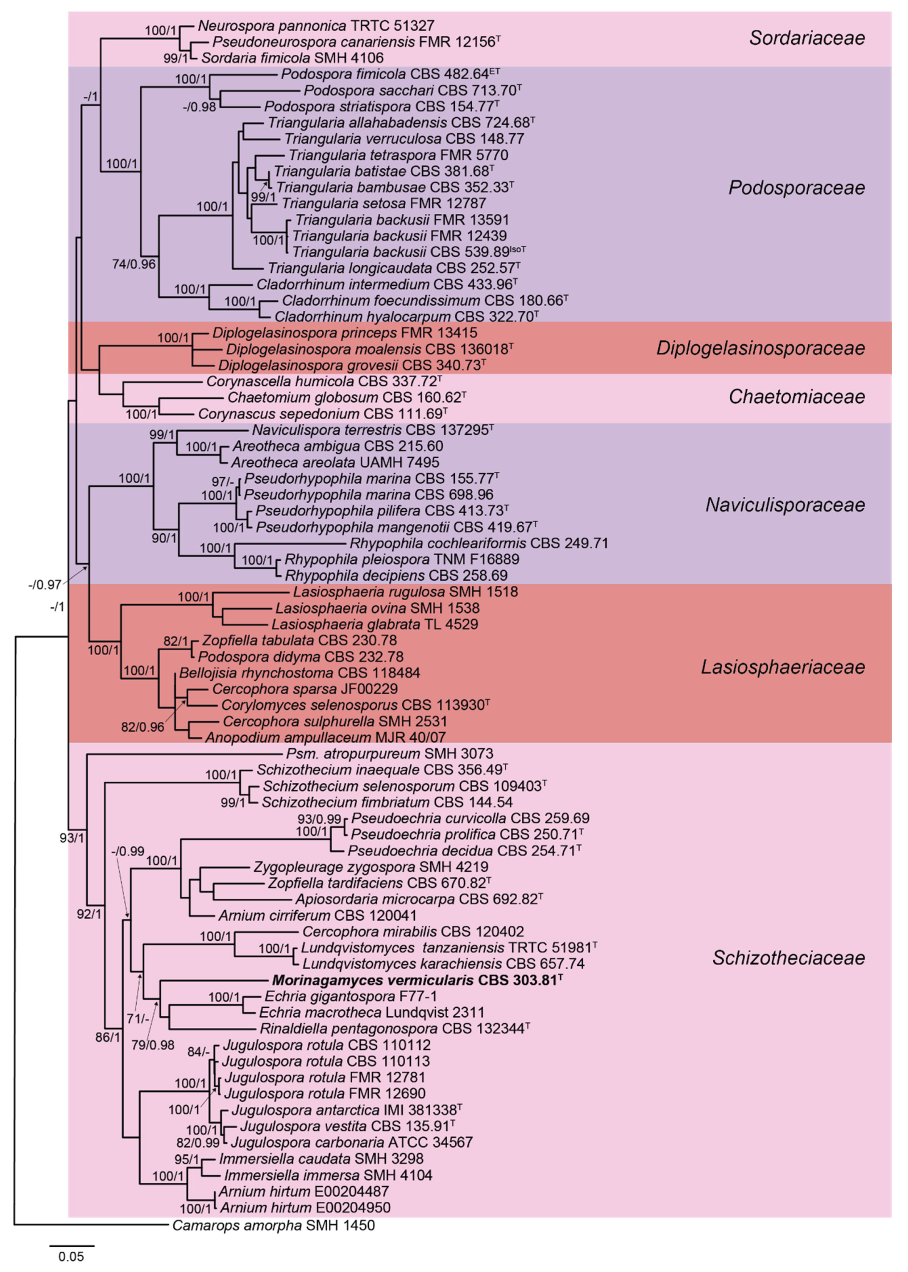 Microorganisms 09 01191 g001 Microorganisms 09 01191 g001