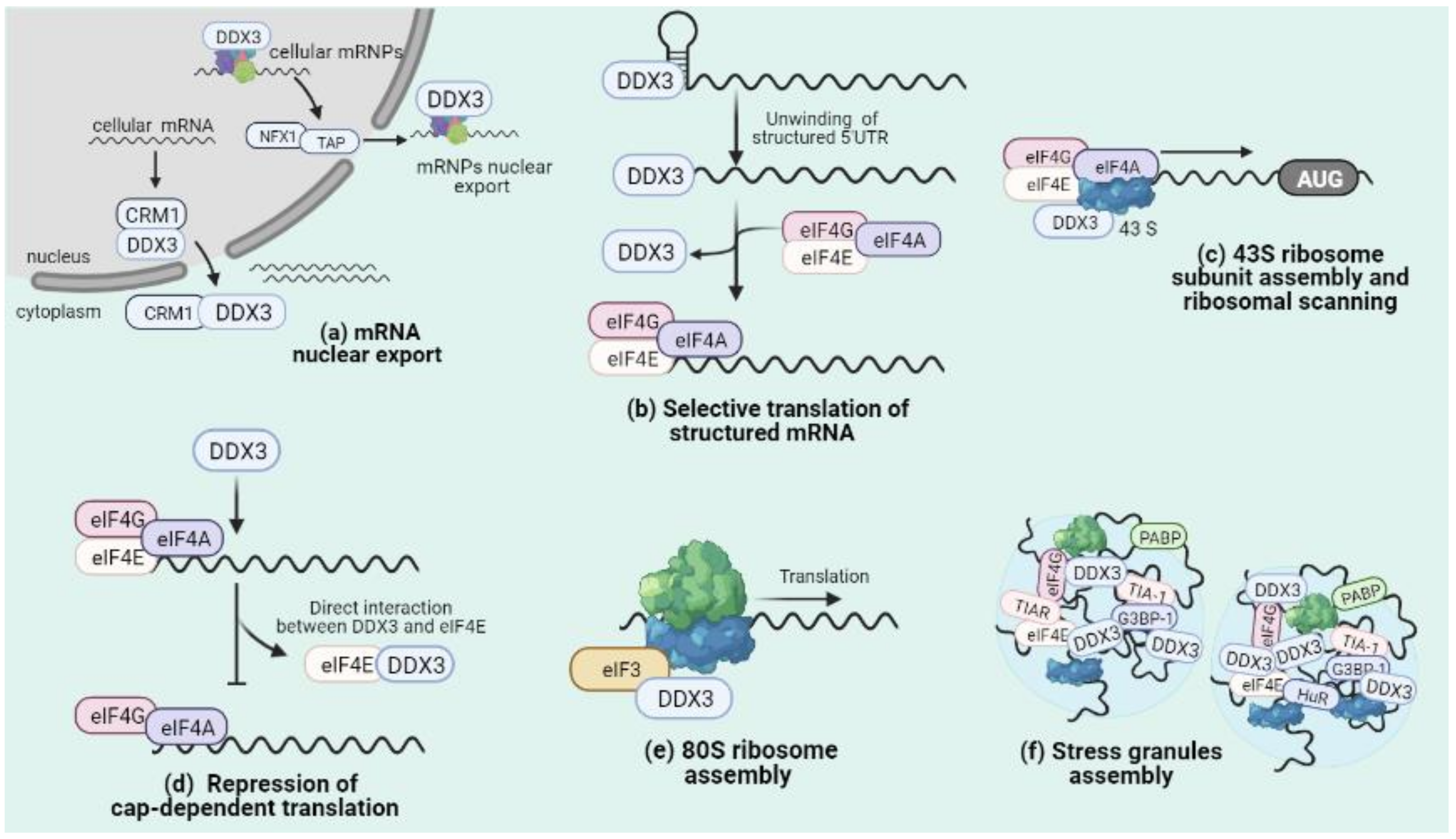 Microorganisms 09 01206 g002 Microorganisms 09 01206 g002