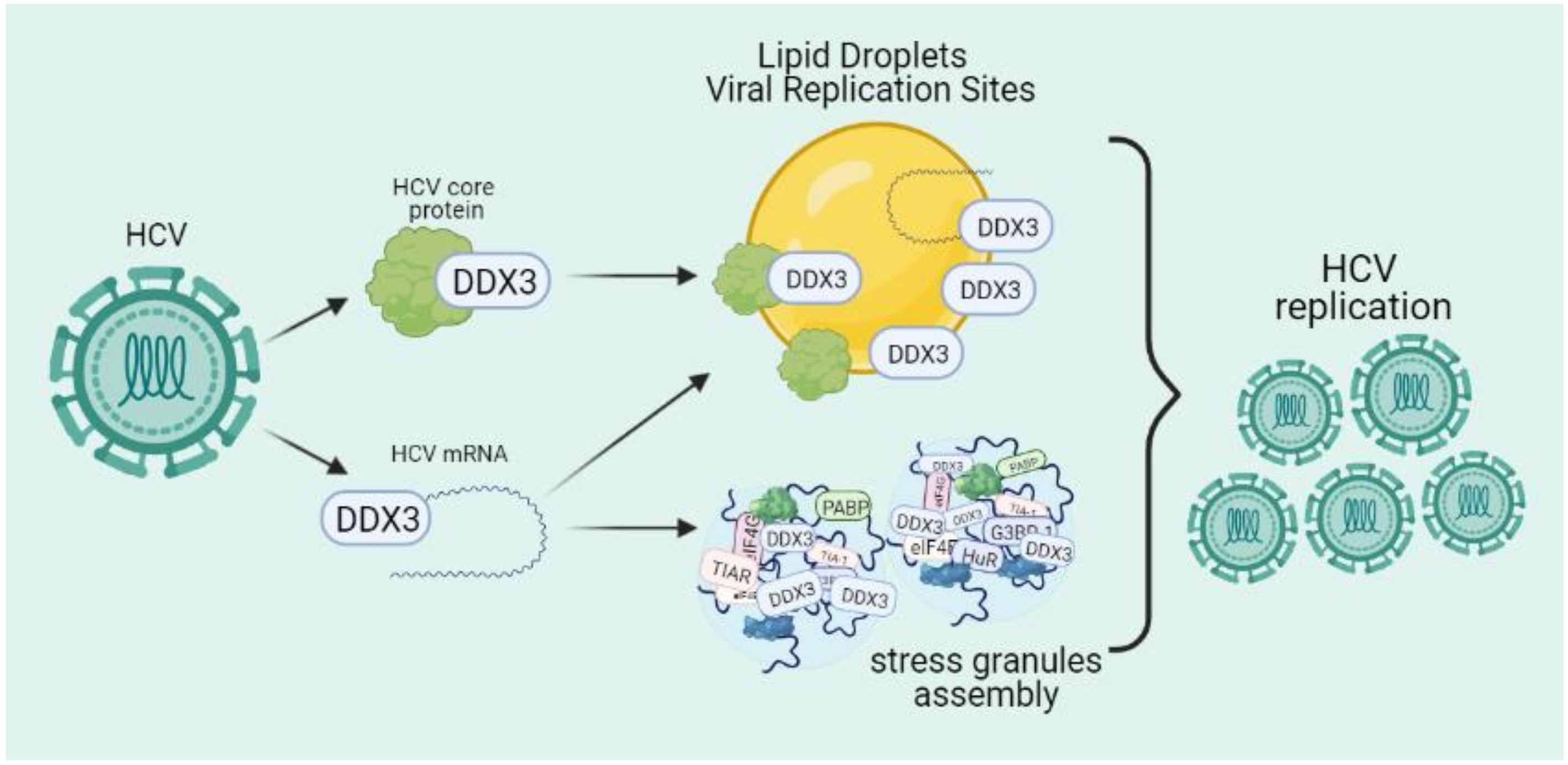 Microorganisms 09 01206 g004 Microorganisms 09 01206 g004
