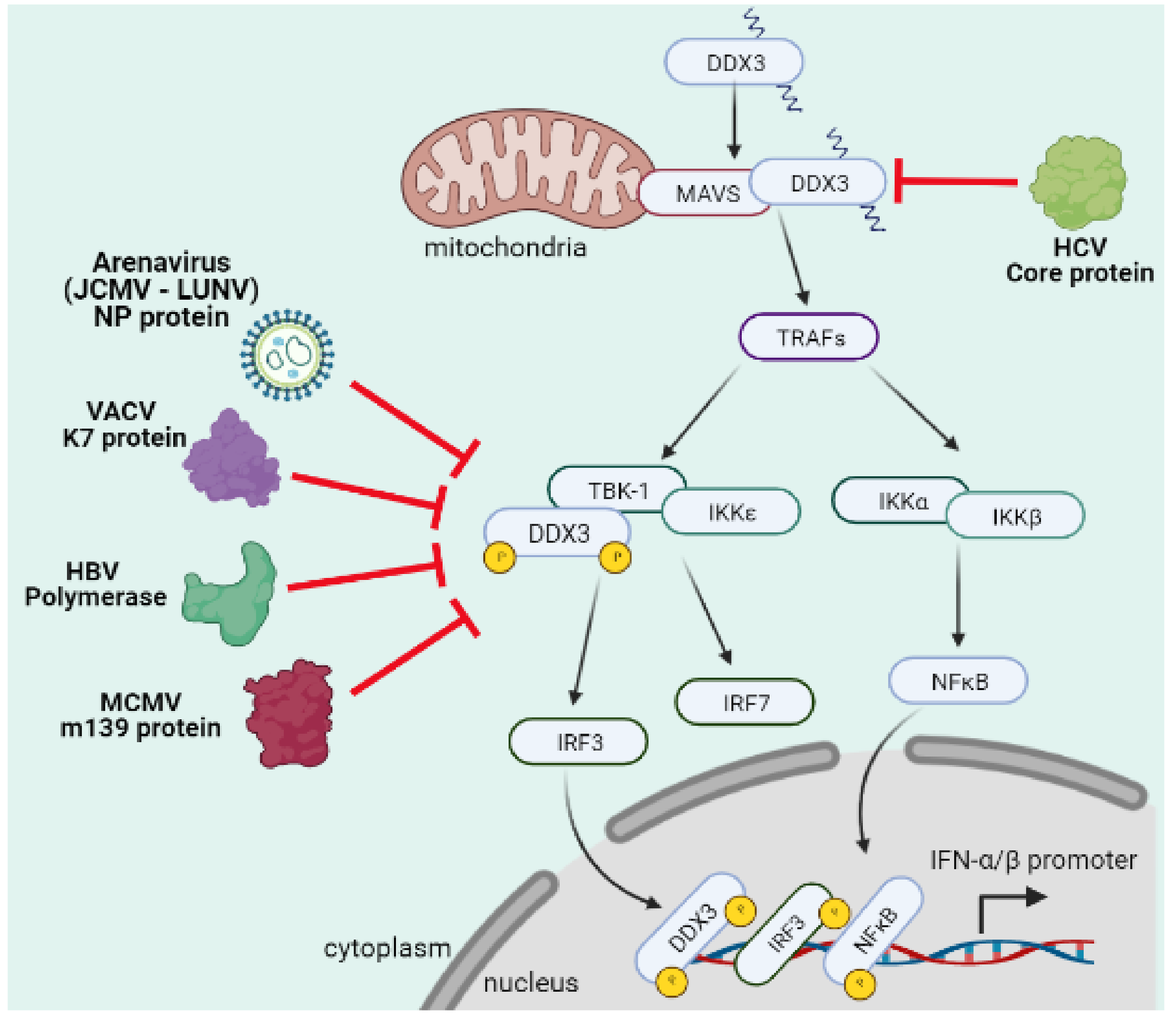 Microorganisms 09 01206 g006 Microorganisms 09 01206 g006