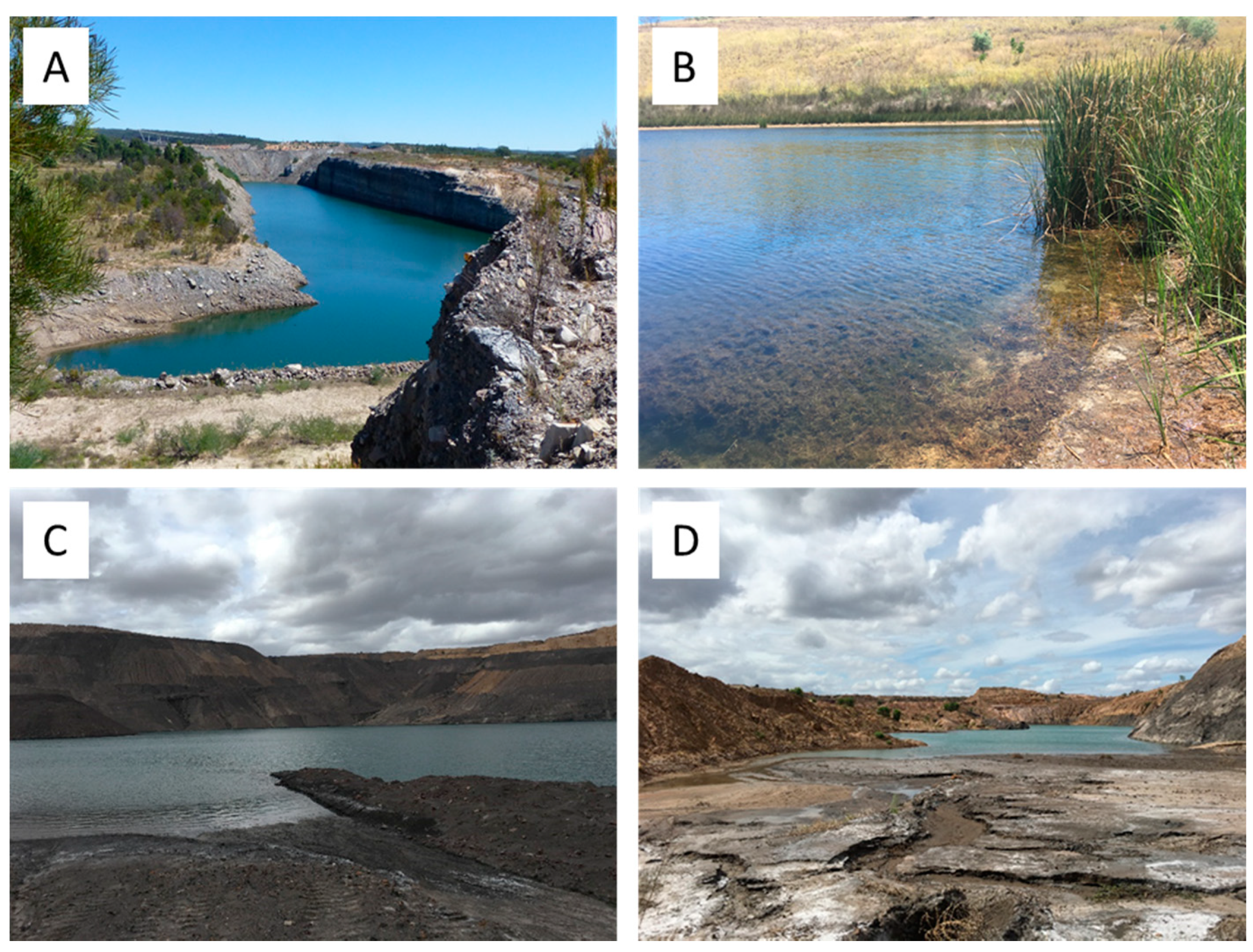 Microorganisms 09 01207 g002 Microorganisms 09 01207 g002