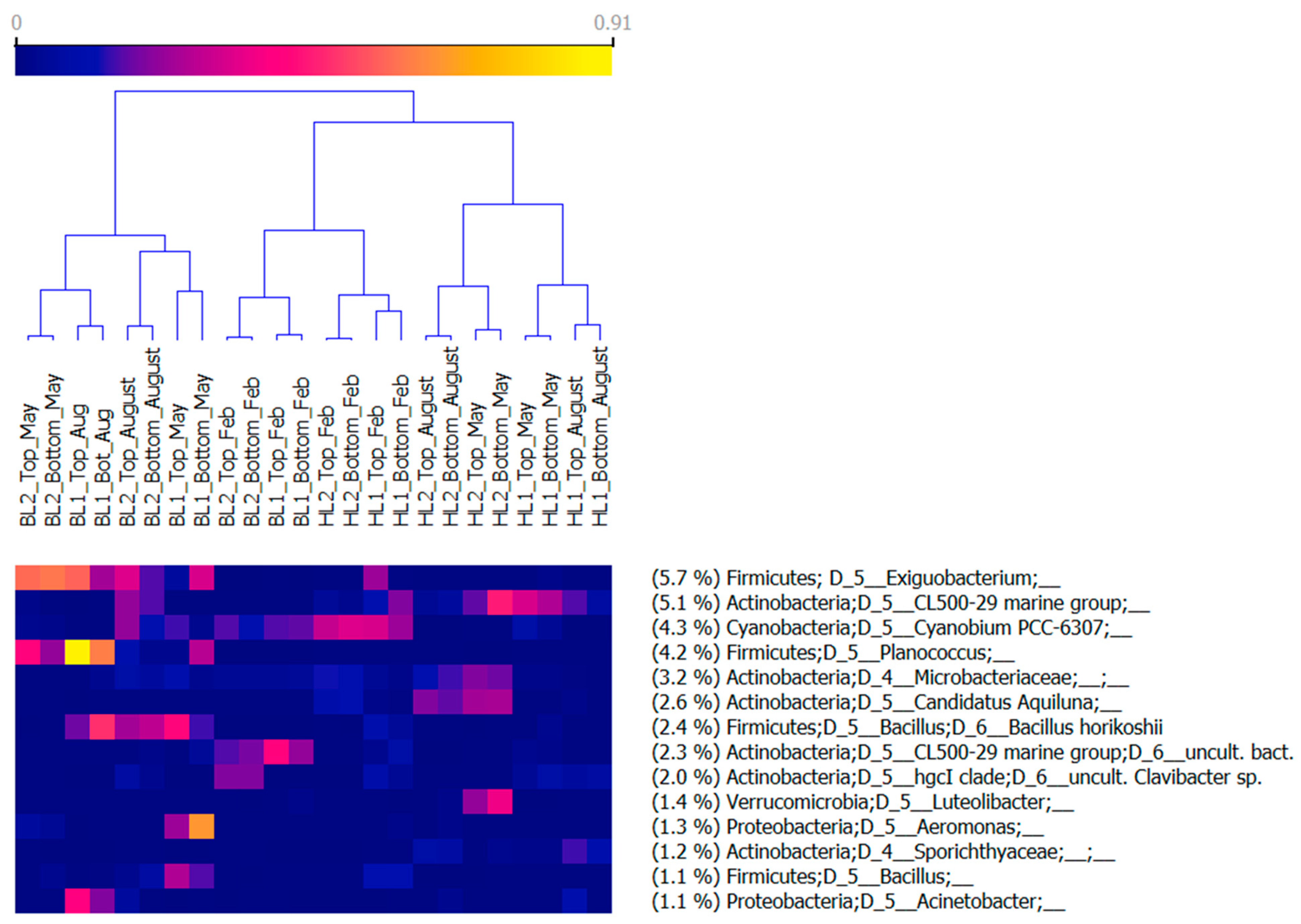 Microorganisms 09 01207 g008 Microorganisms 09 01207 g008