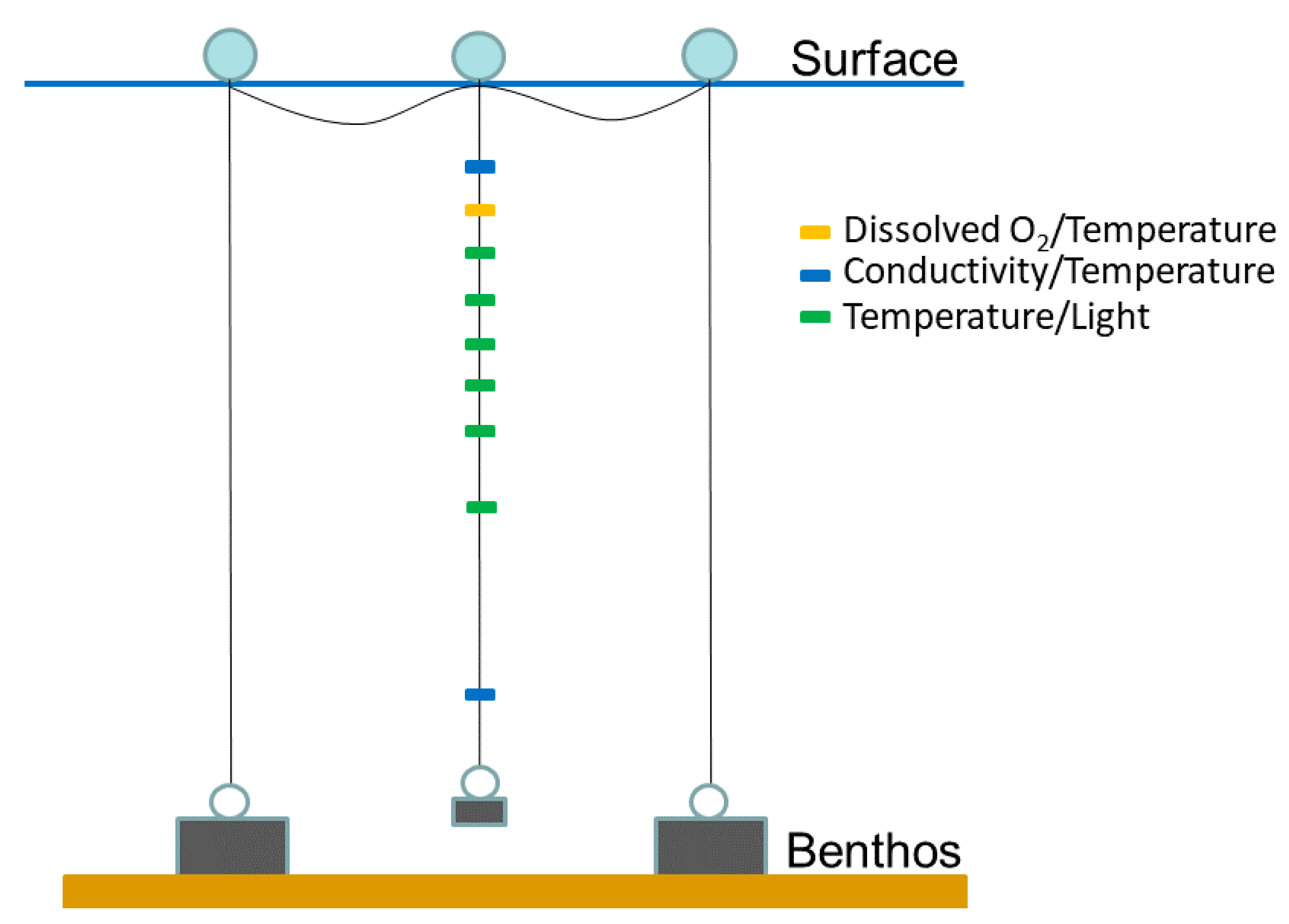 Microorganisms 09 01207 sch001 Microorganisms 09 01207 sch001