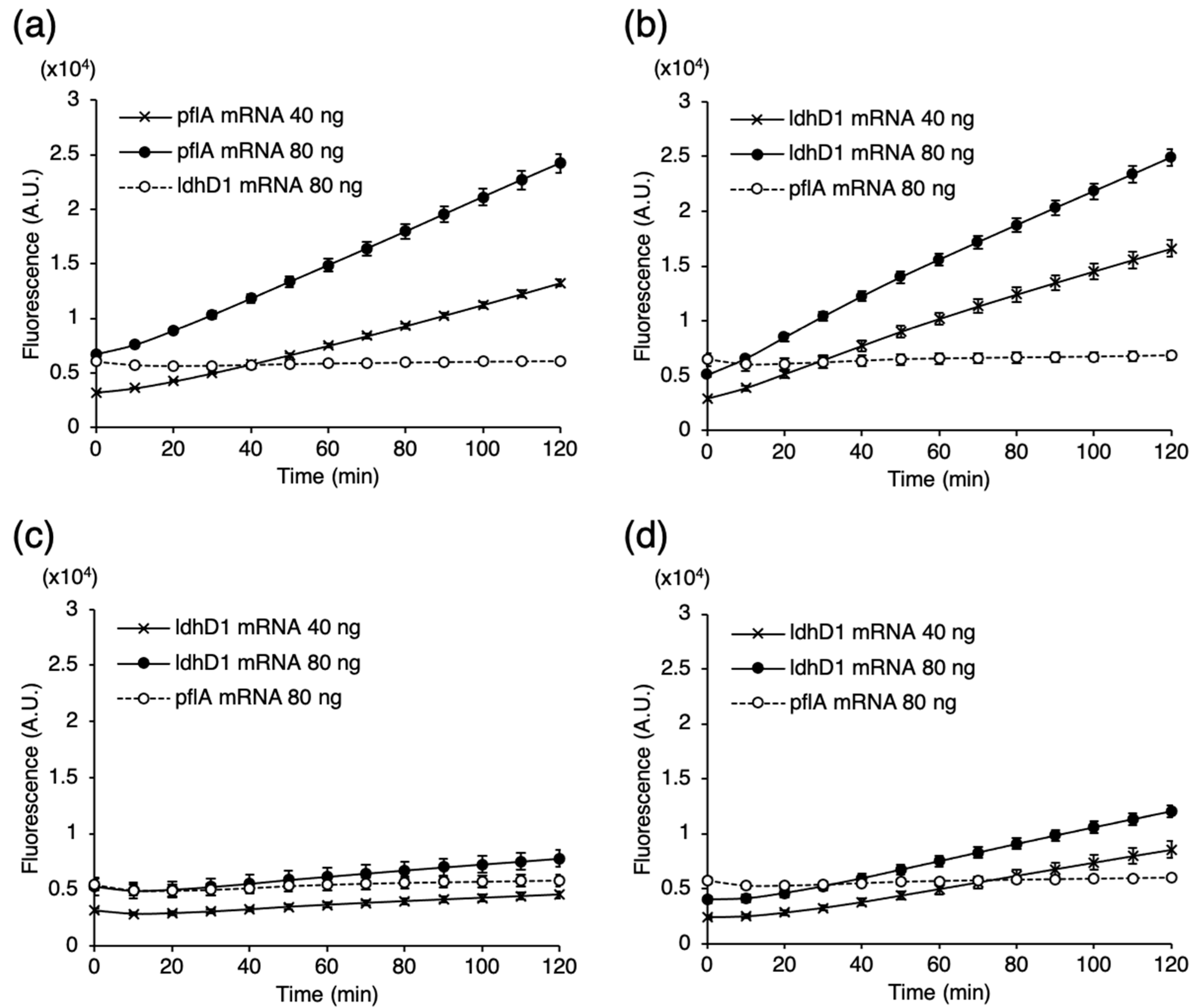 Microorganisms 09 01208 g004