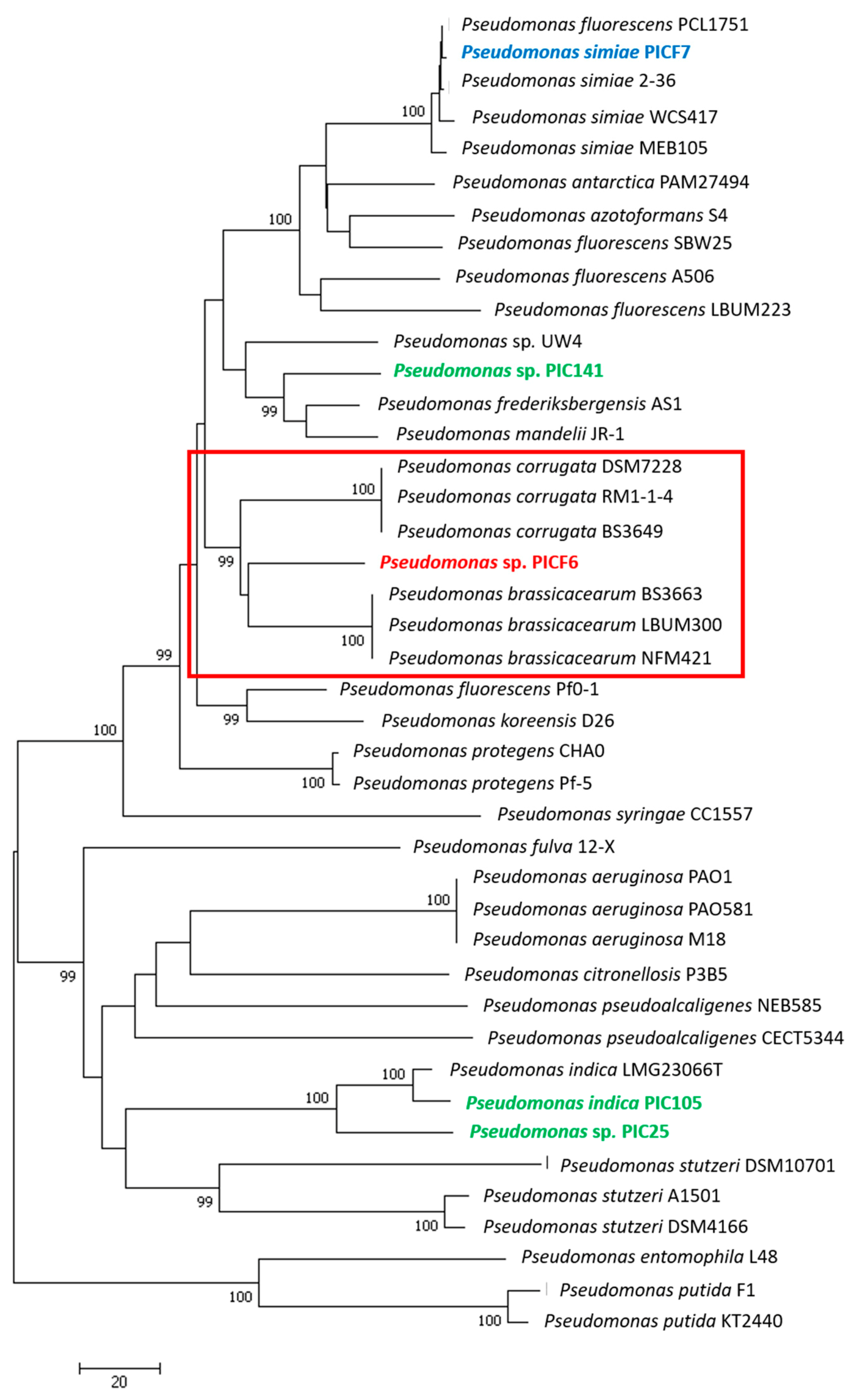 Microorganisms 09 01209 g005