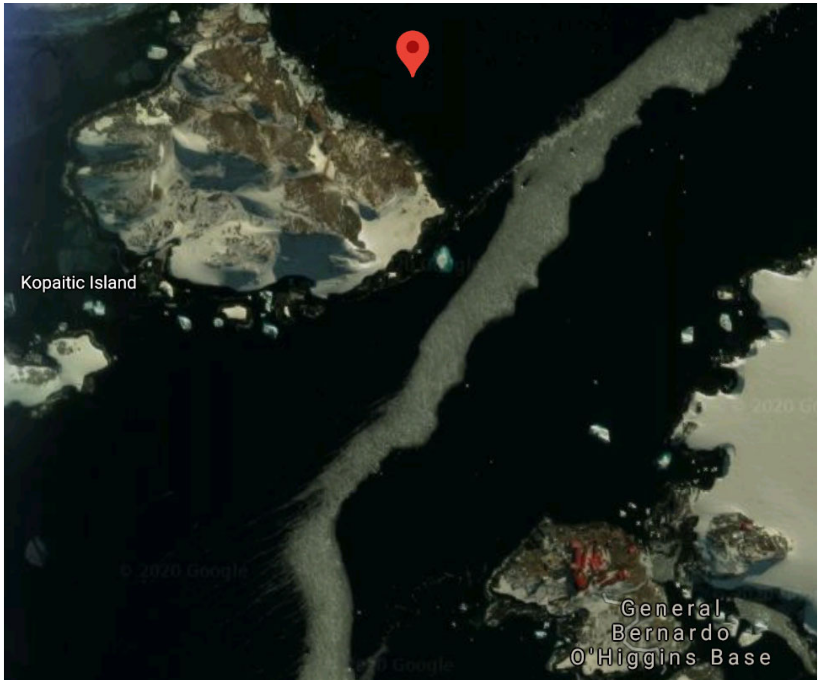 Microorganisms 09 01213 g002 Microorganisms 09 01213 g002