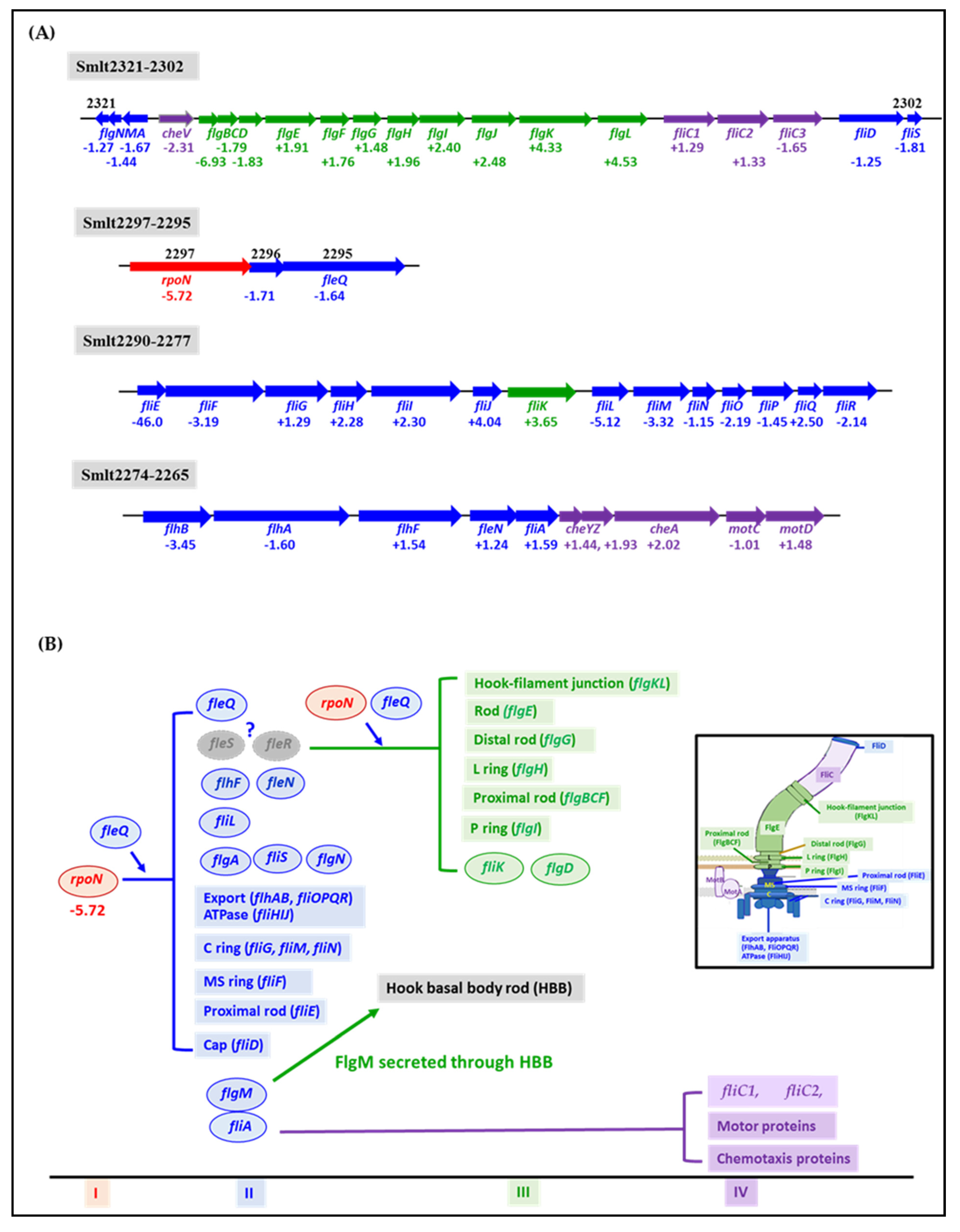 Microorganisms 09 01216 g003