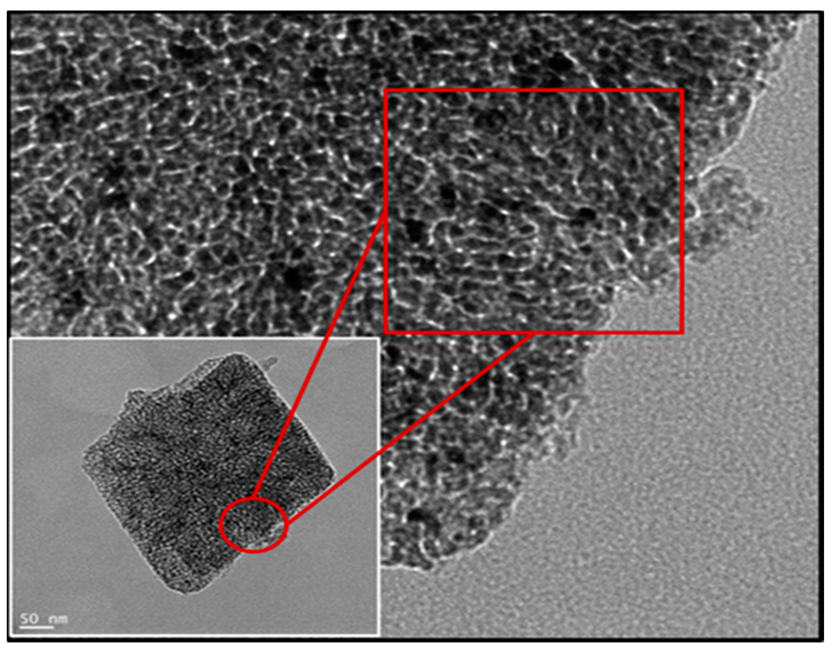 Microorganisms 09 01217 g001