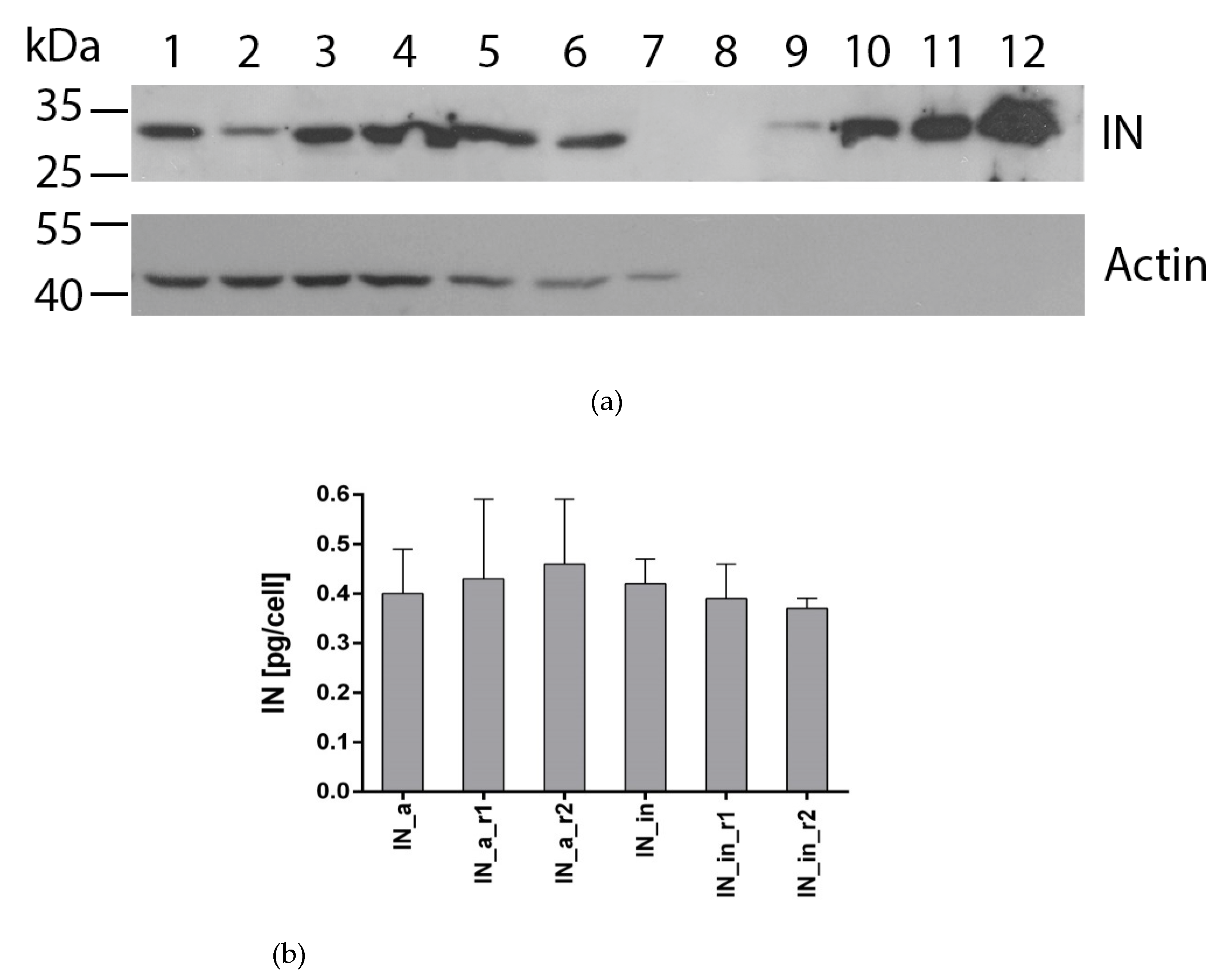 Microorganisms 09 01219 g002 Microorganisms 09 01219 g002