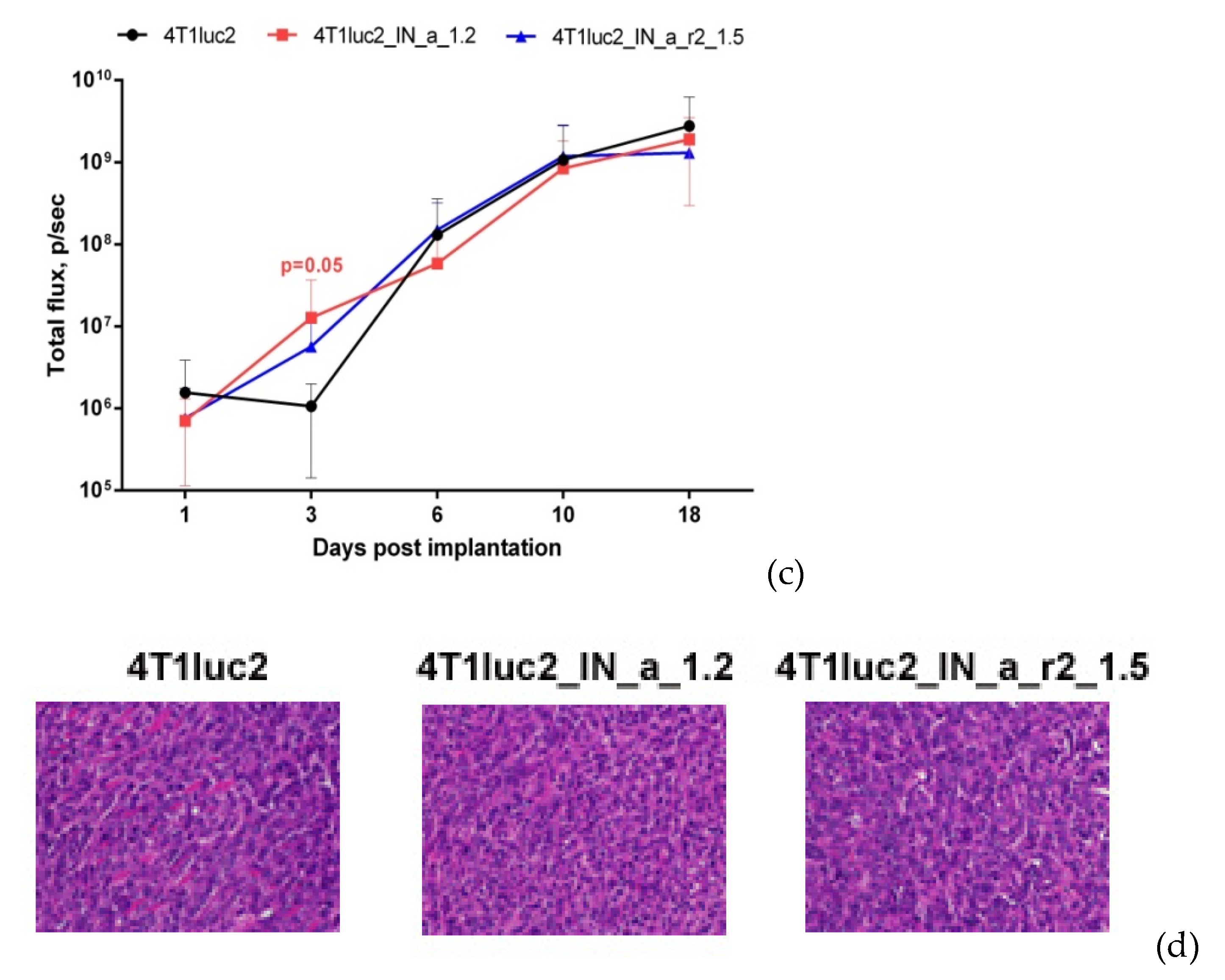 Microorganisms 09 01219 g005b Microorganisms 09 01219 g005b