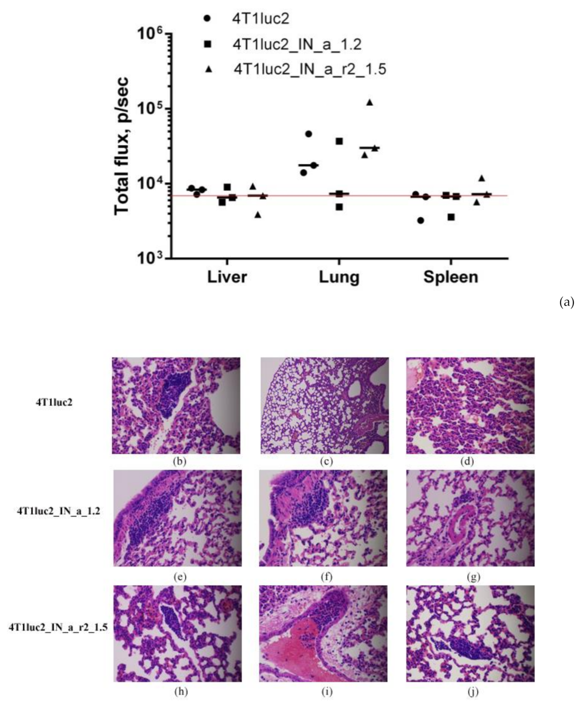 Microorganisms 09 01219 g006 Microorganisms 09 01219 g006